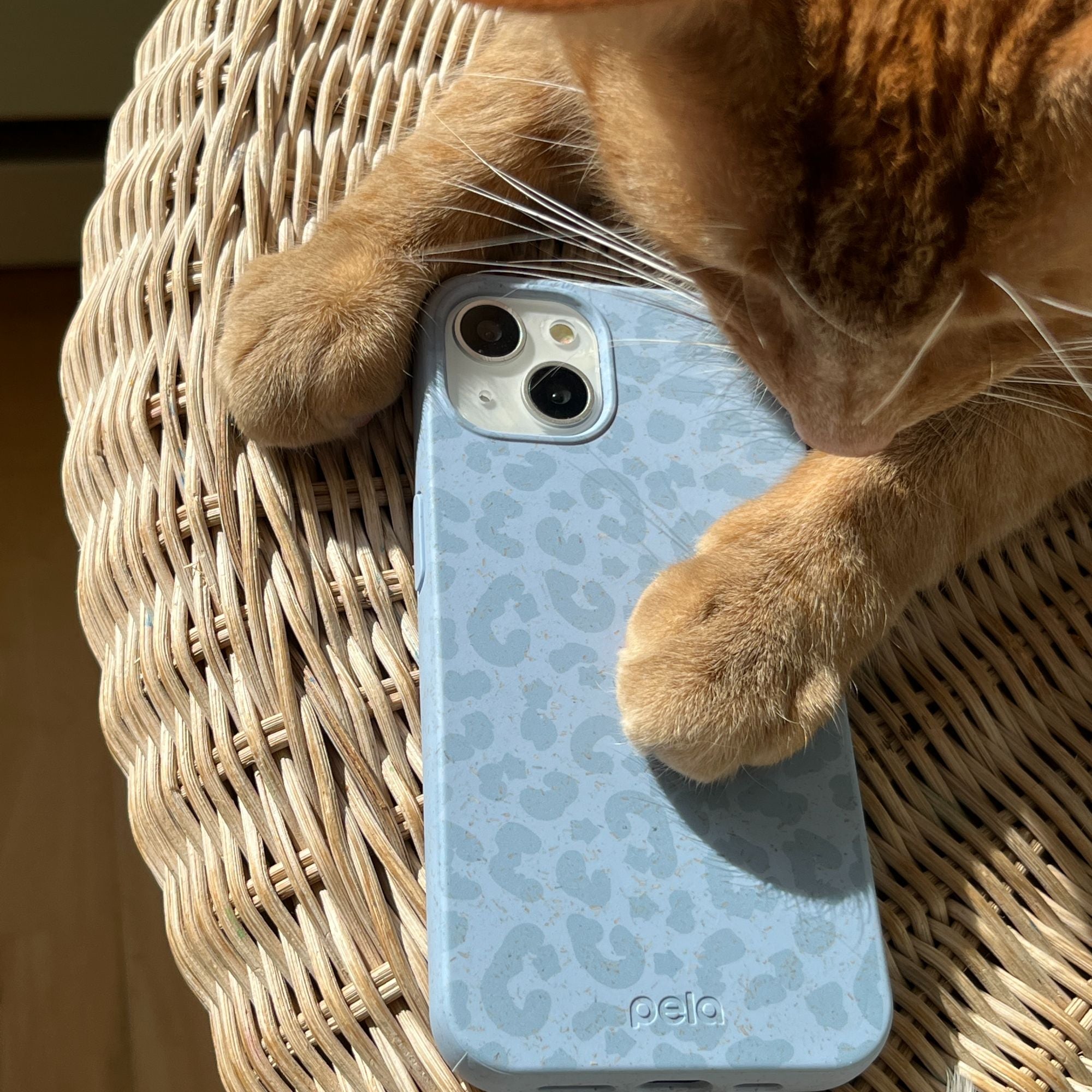 SKY-LEOPARD_IP12_PowderBlue