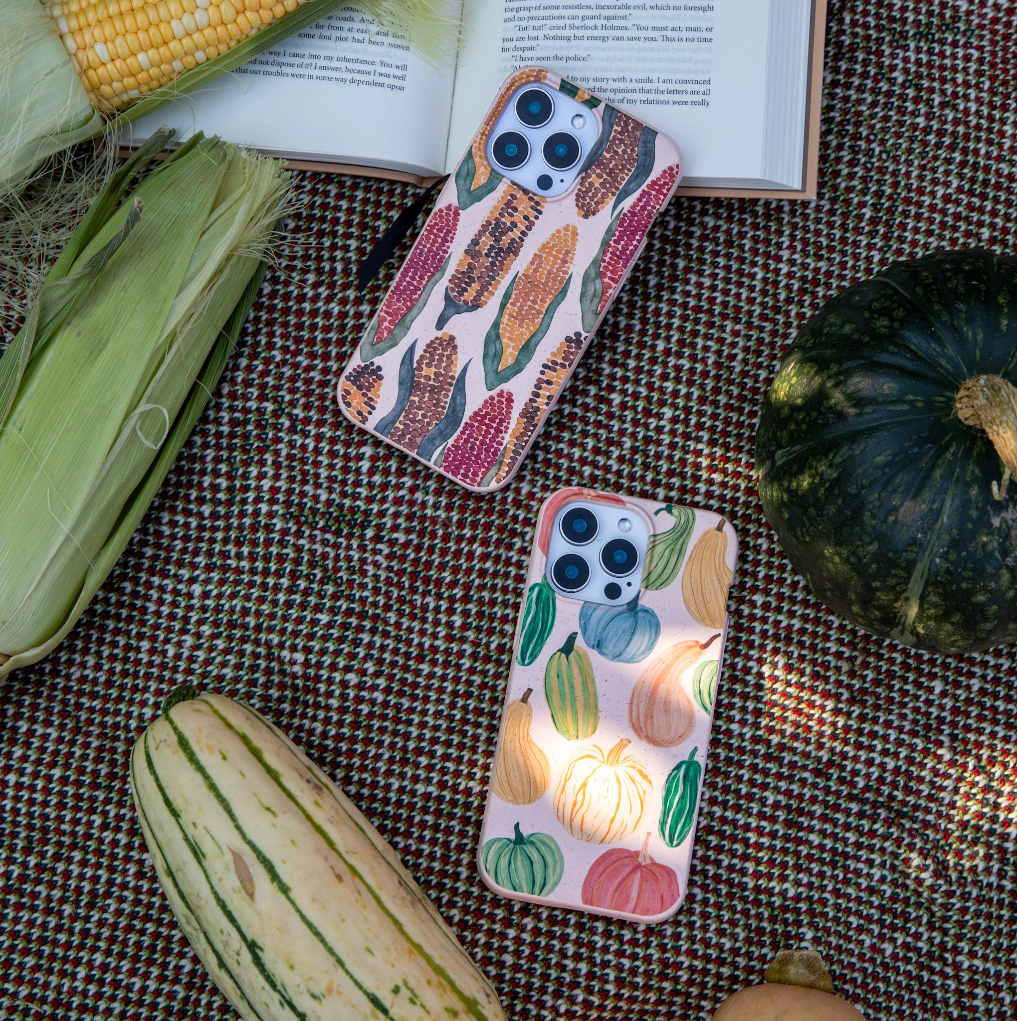 CORNFIELD_IPXR_Seashell