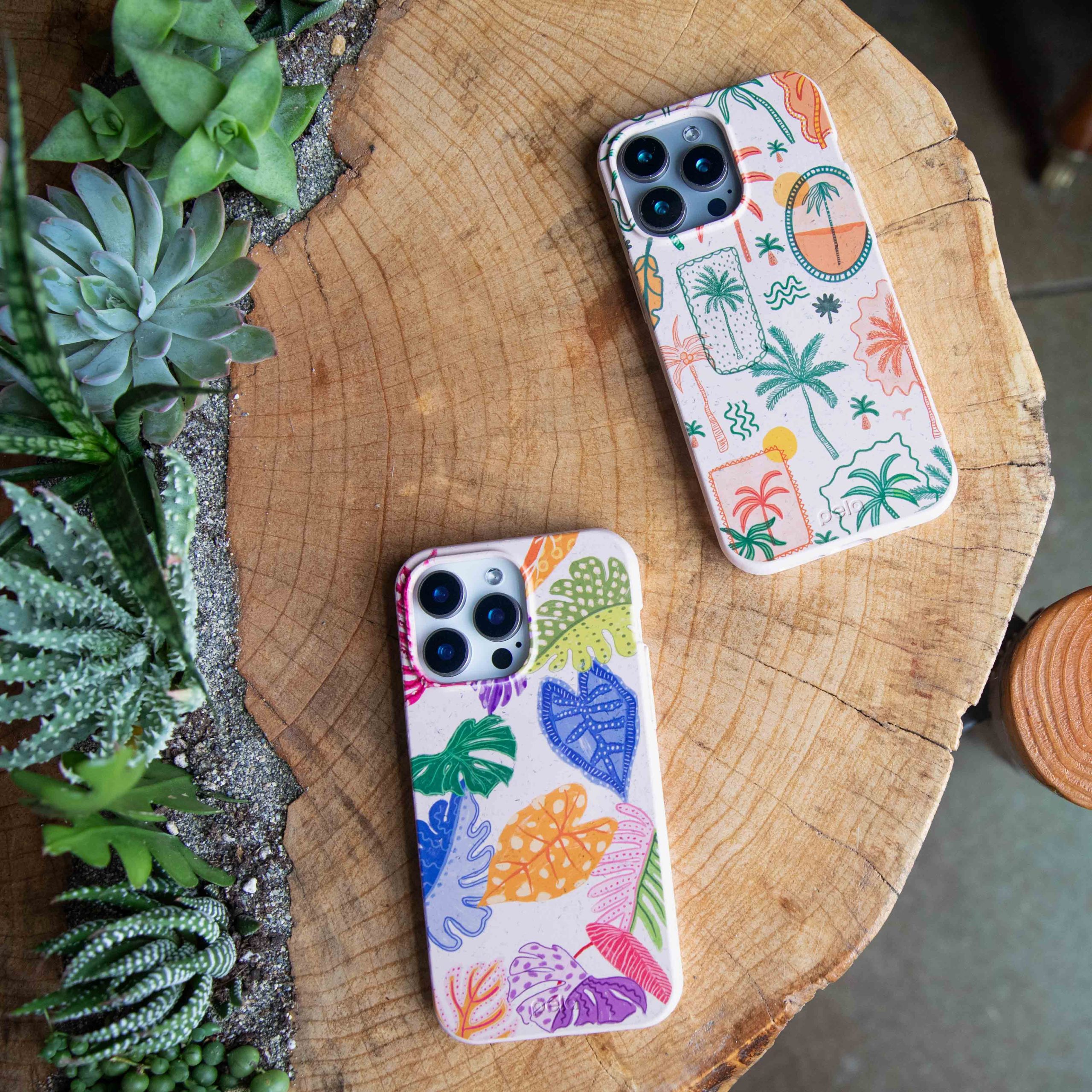 TROPICAL-CHEER_IP16PLUS_Seashell