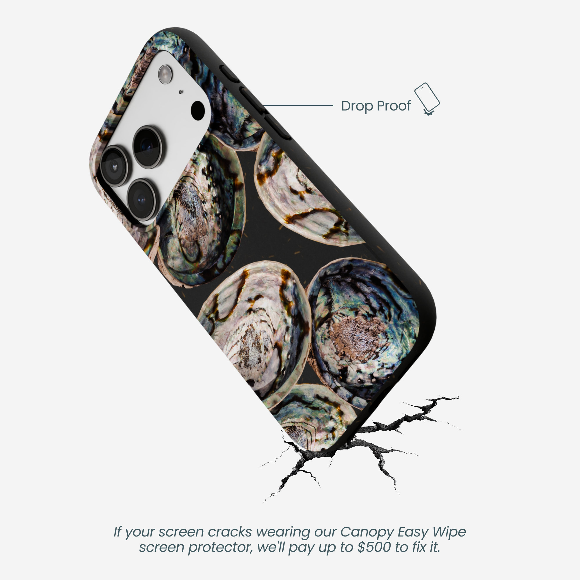 ABALONE-SHELLS_IP17P_Black