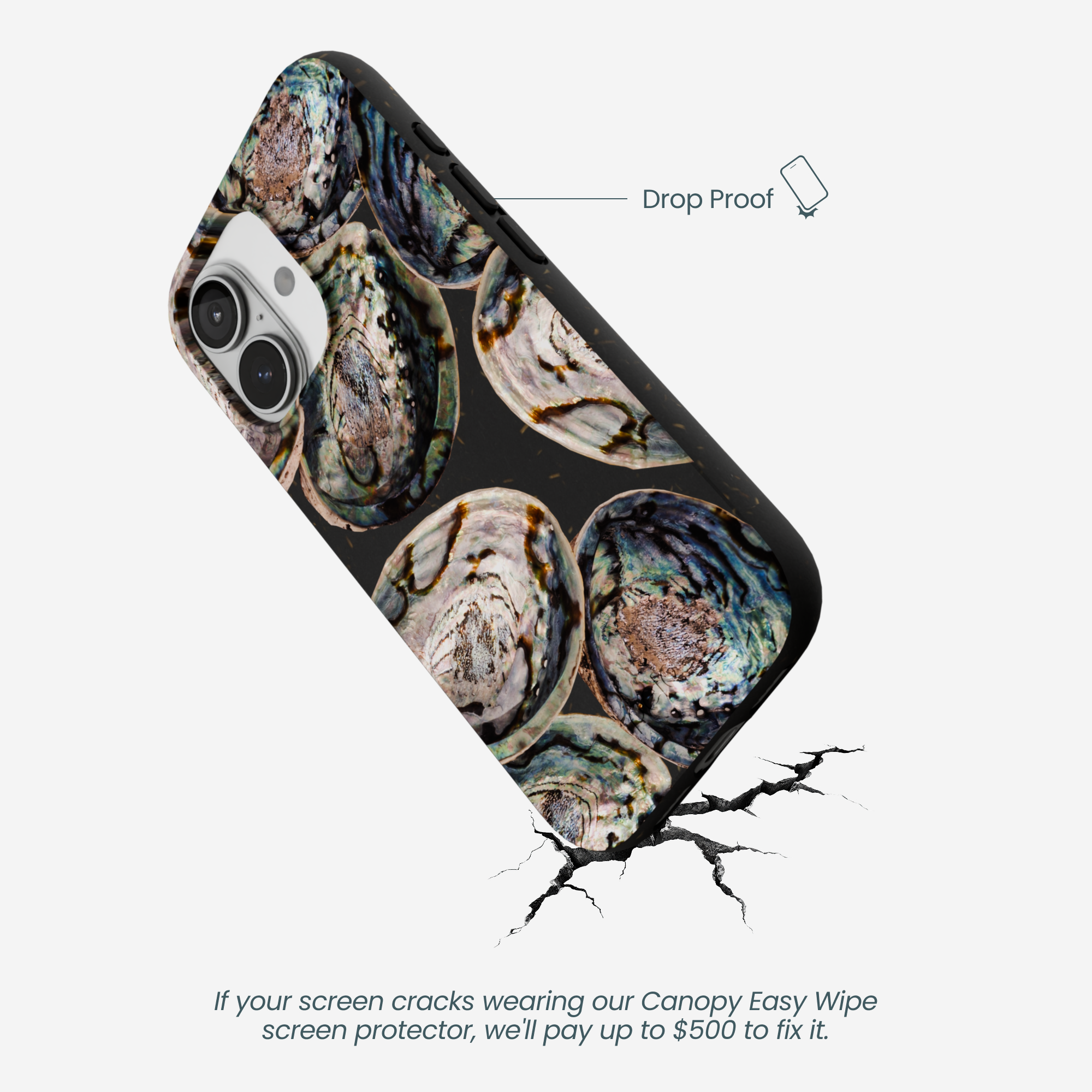 ABALONE-SHELLS_IP17_Black