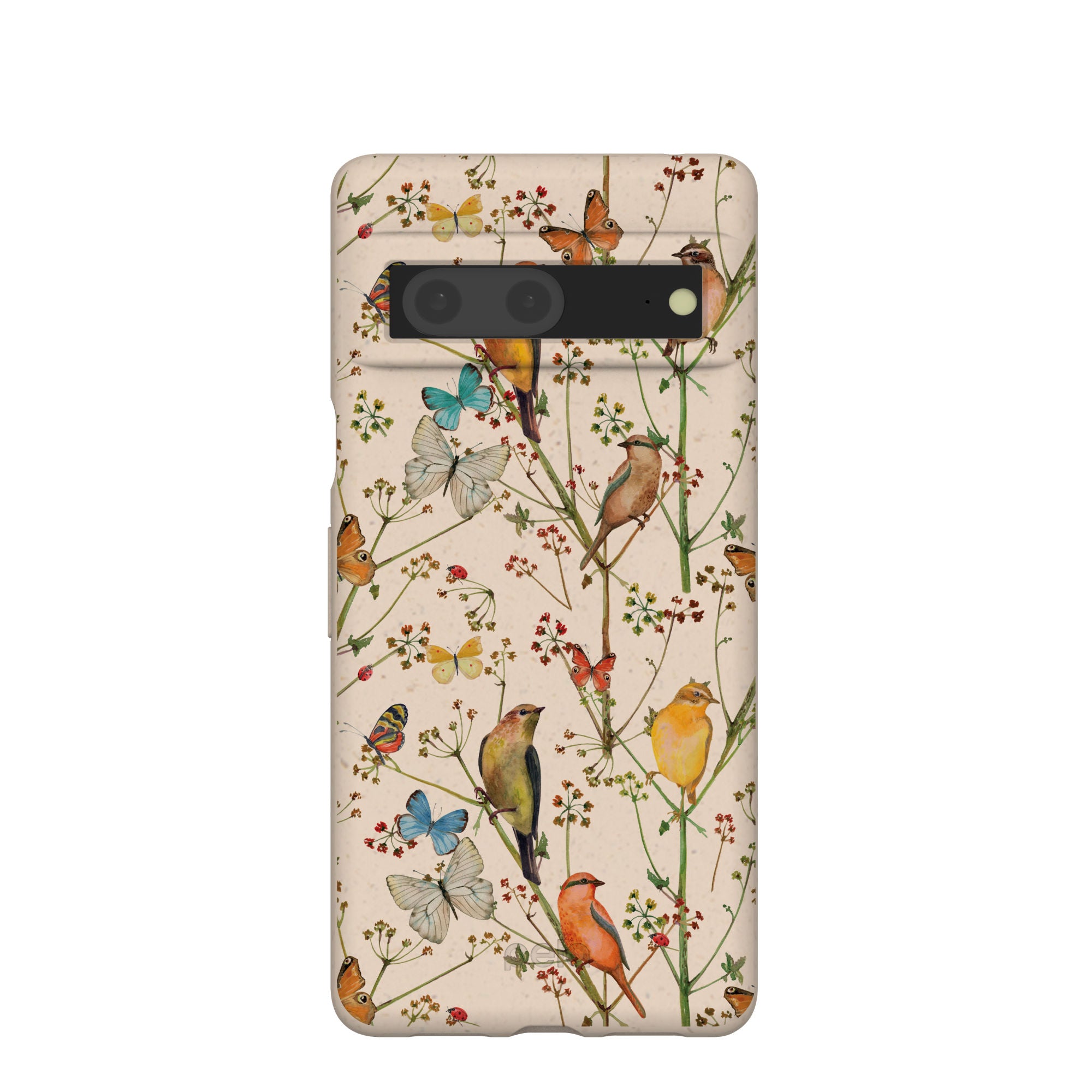 BIRDING_PX7_Seashell