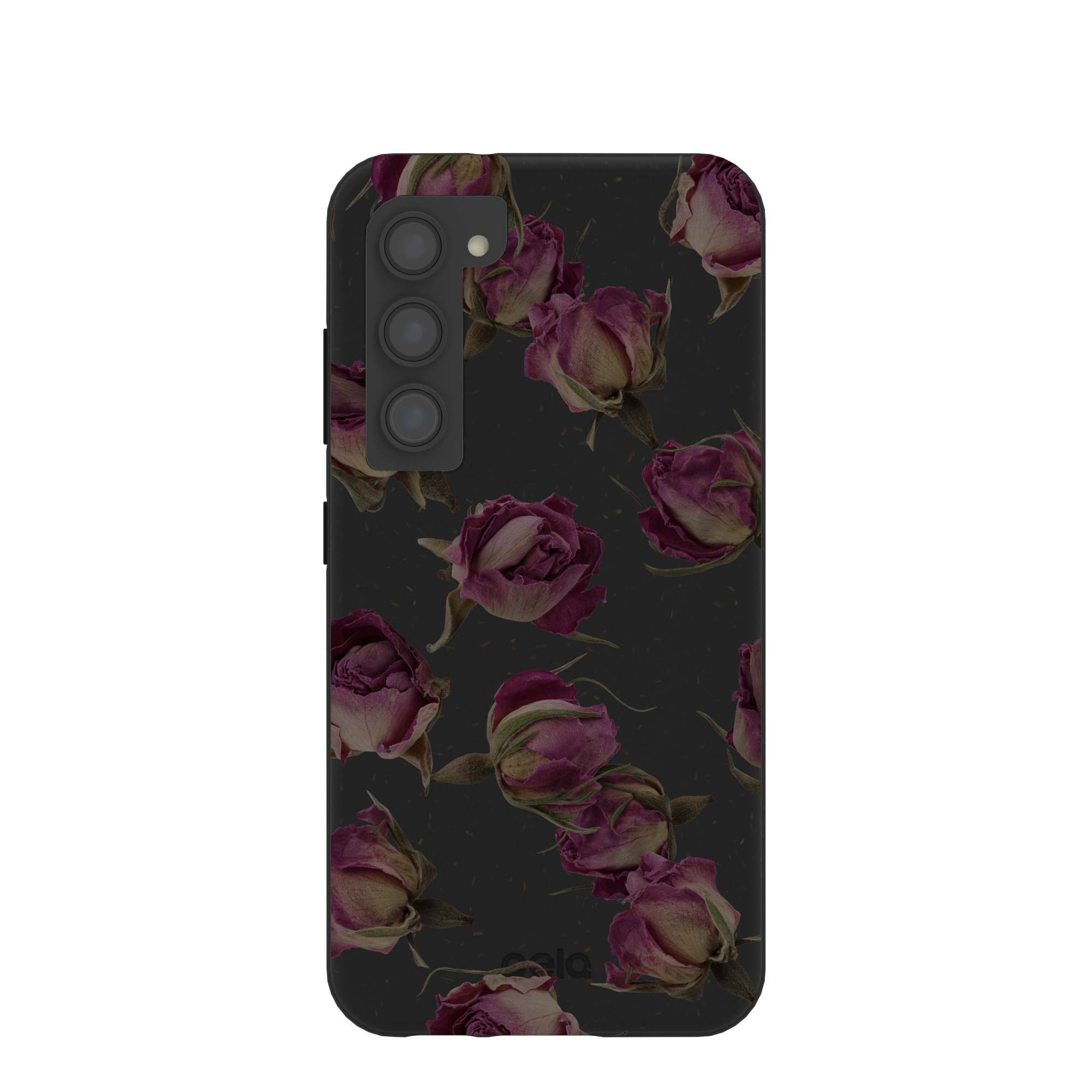 DRIED-ROSEBUDS_S23_Black