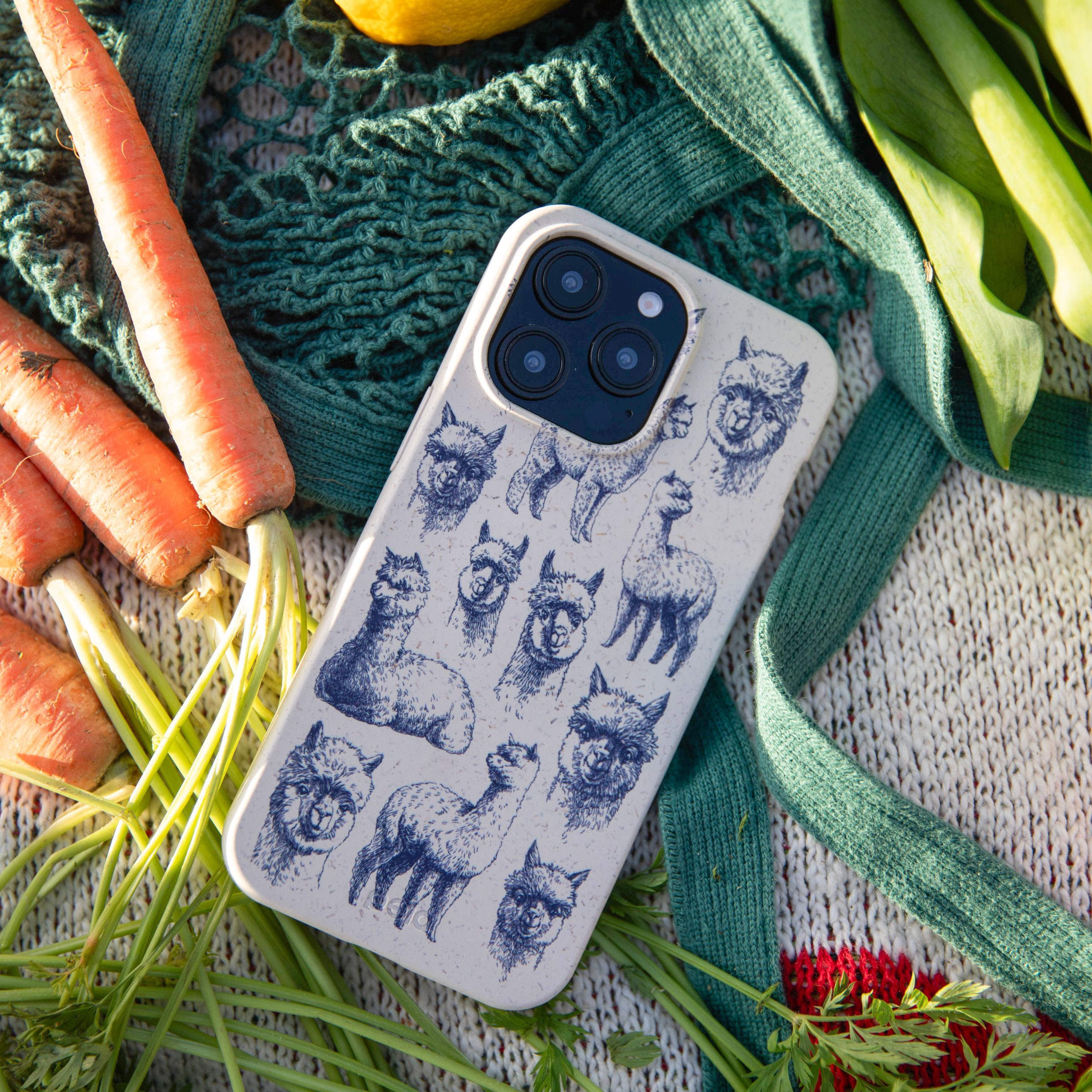 SPITTING-LLAMA_IP12_LondonFog