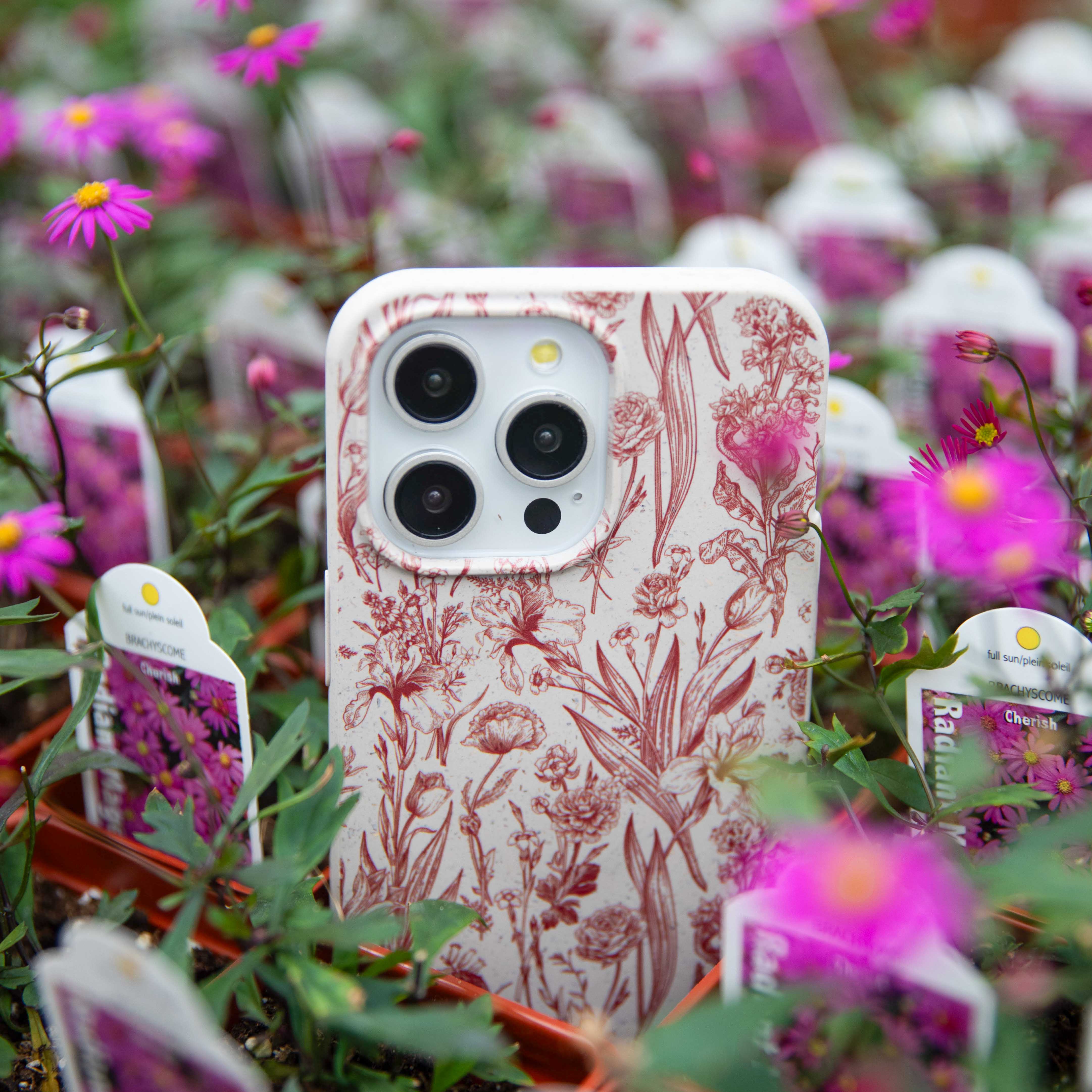 CRIMSON-BOUQUET_PX7P_LondonFog