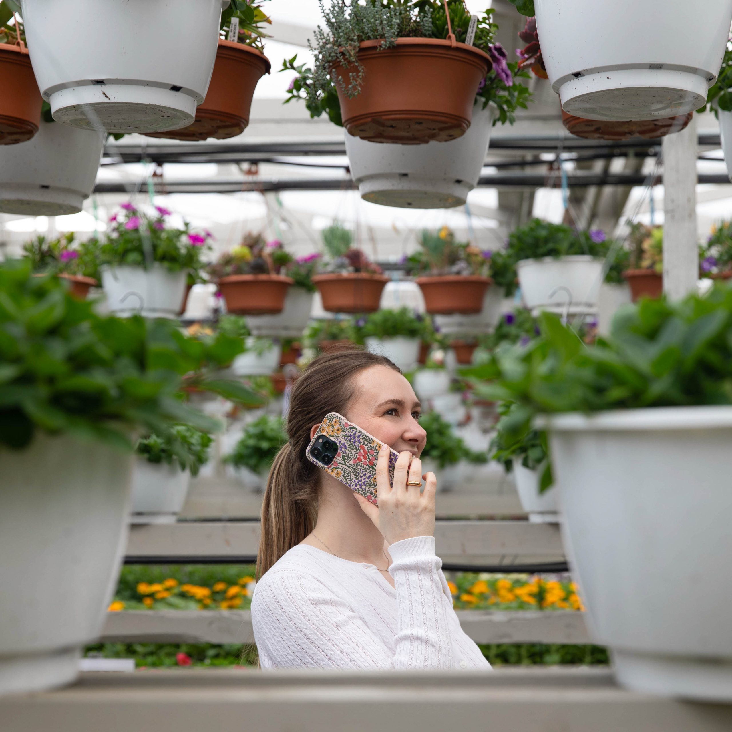 FLOWER-FIELD_IPXR_Seashell