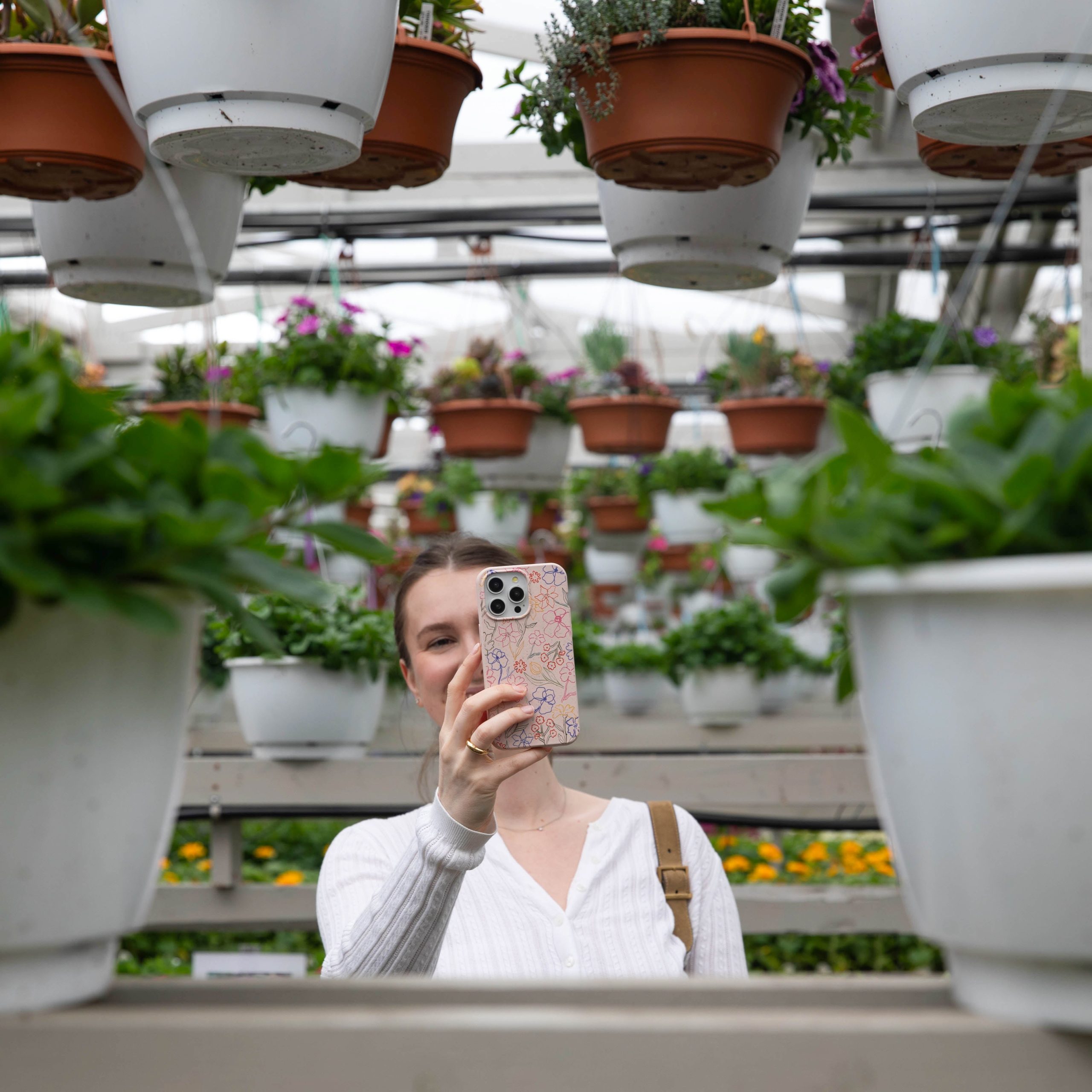 PETALS-SKETCH_PX7_Seashell