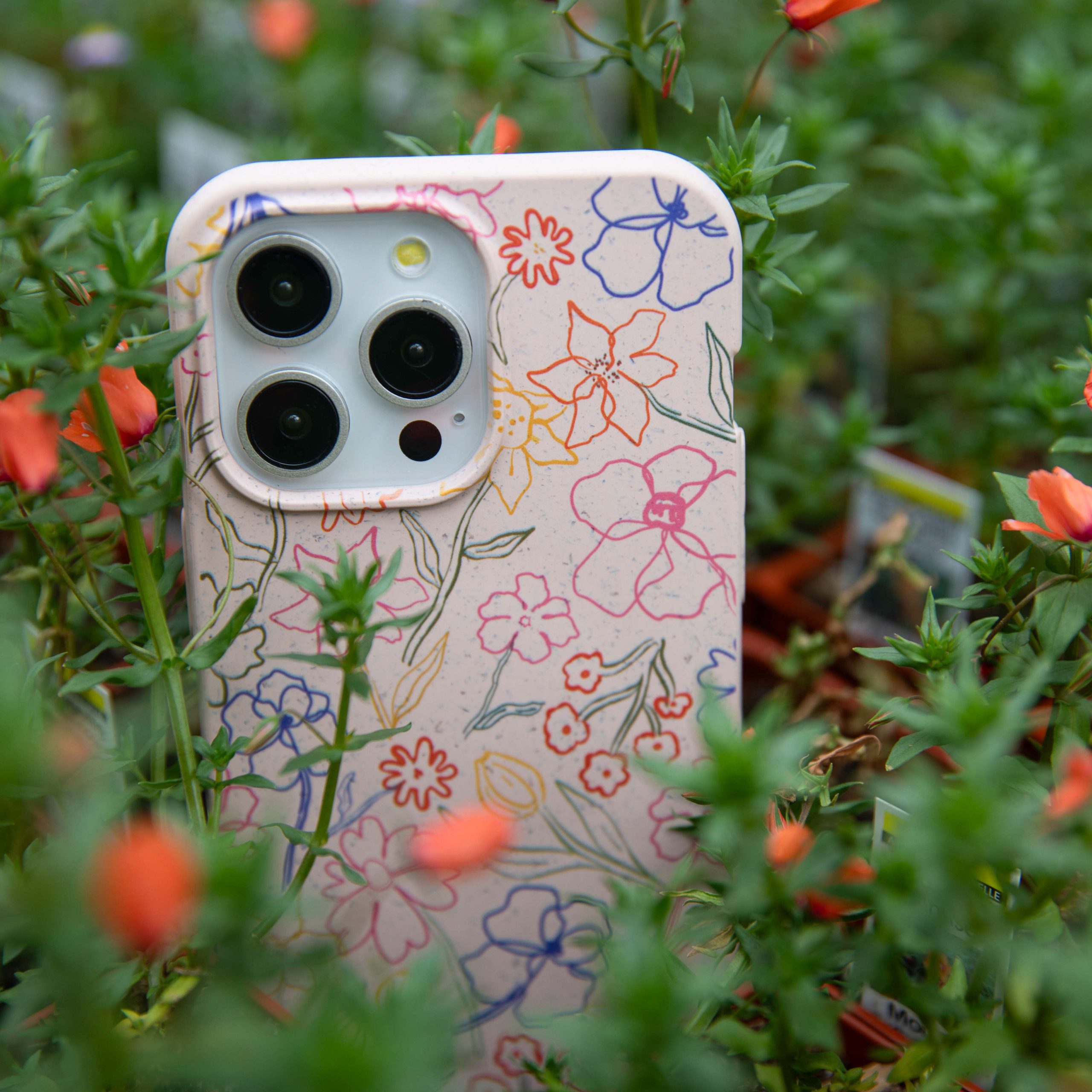 PETALS-SKETCH_PX6A_Seashell