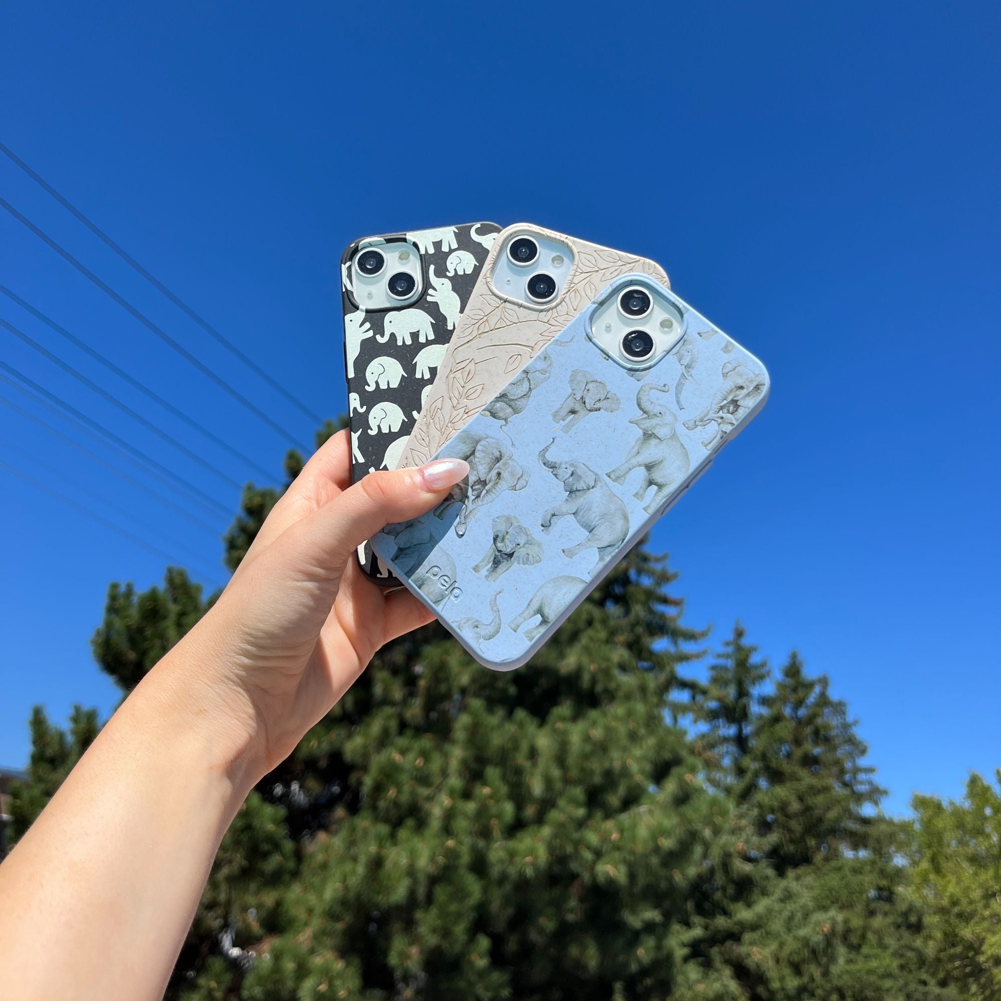 LITTLE-ELEPHANTS_S23_Black