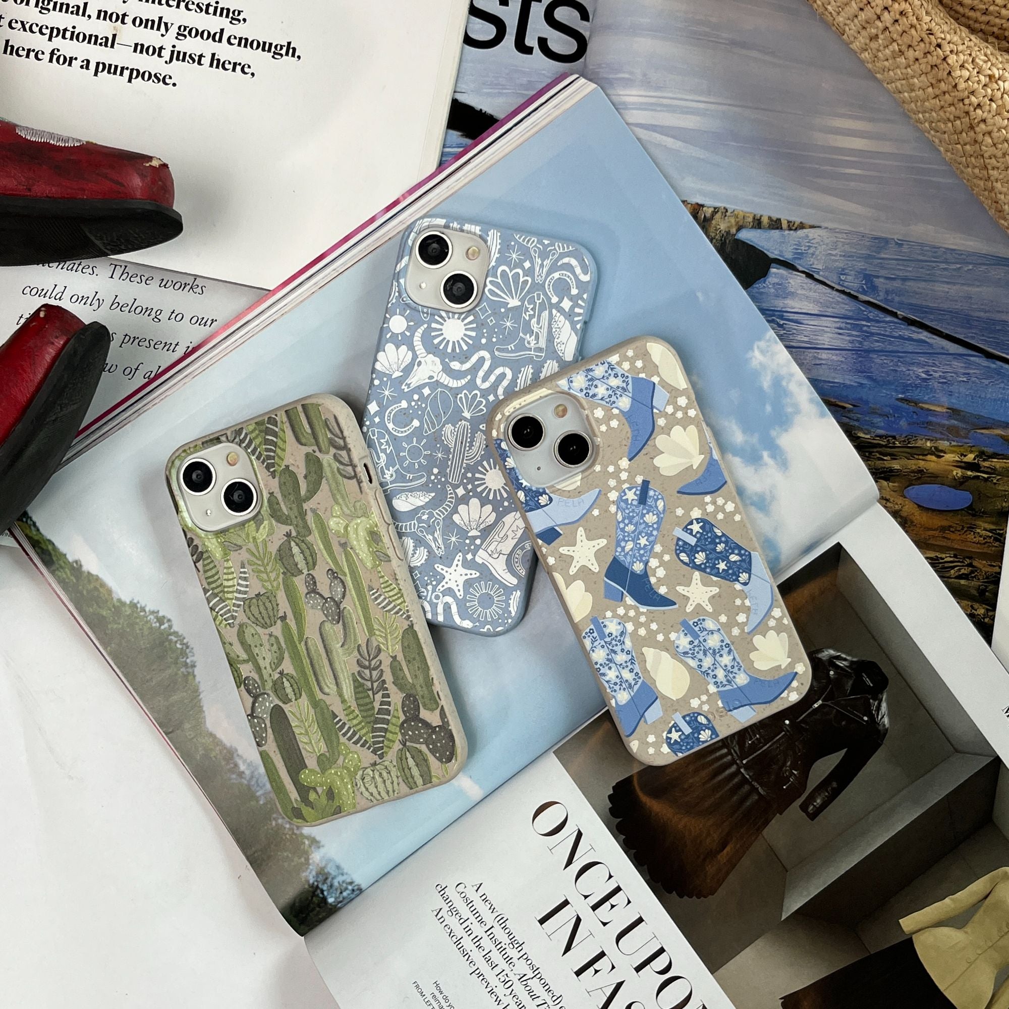 SUCCULENT-CACTI_IP14_Seashell