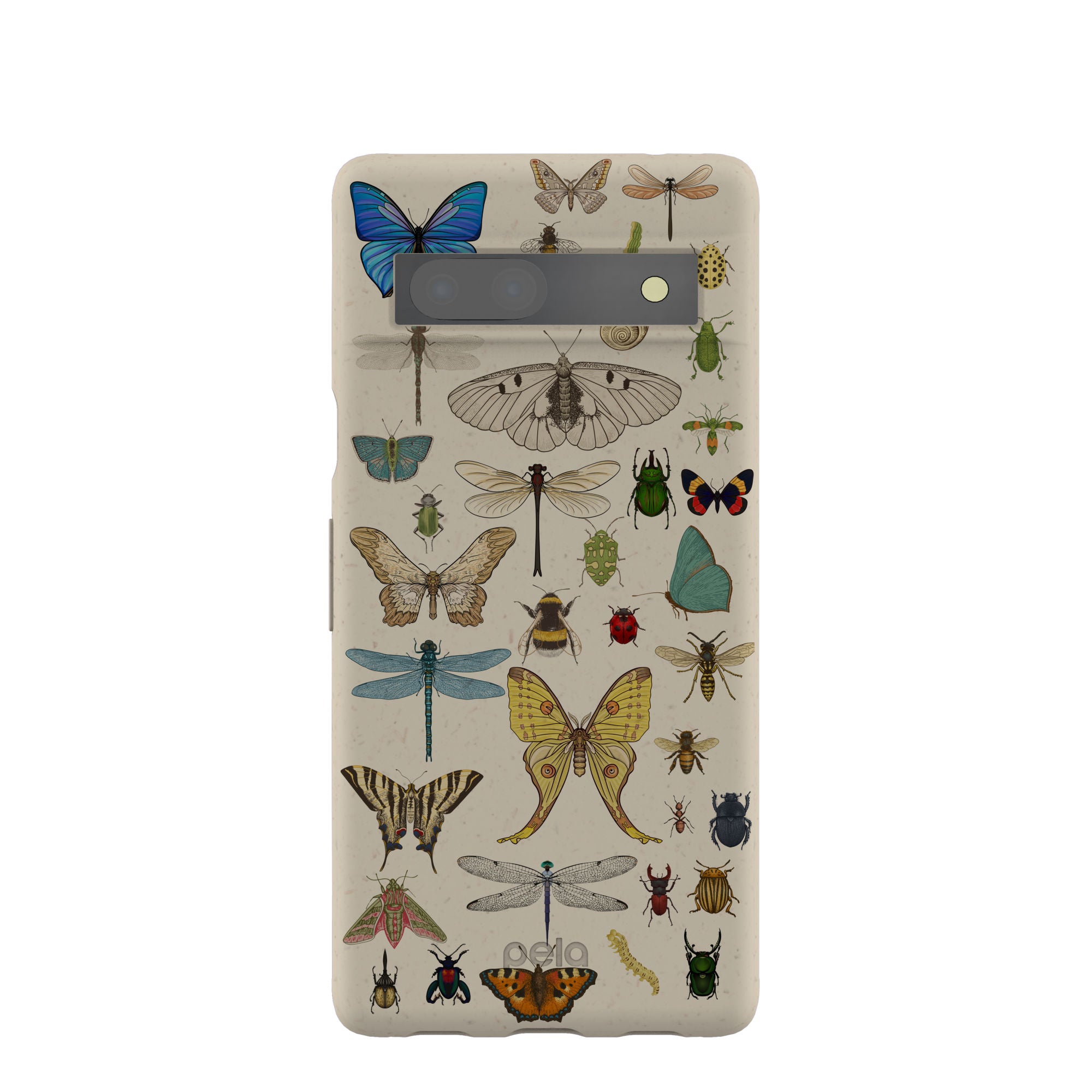 INVERTEBRATES_PX7A_LondonFog