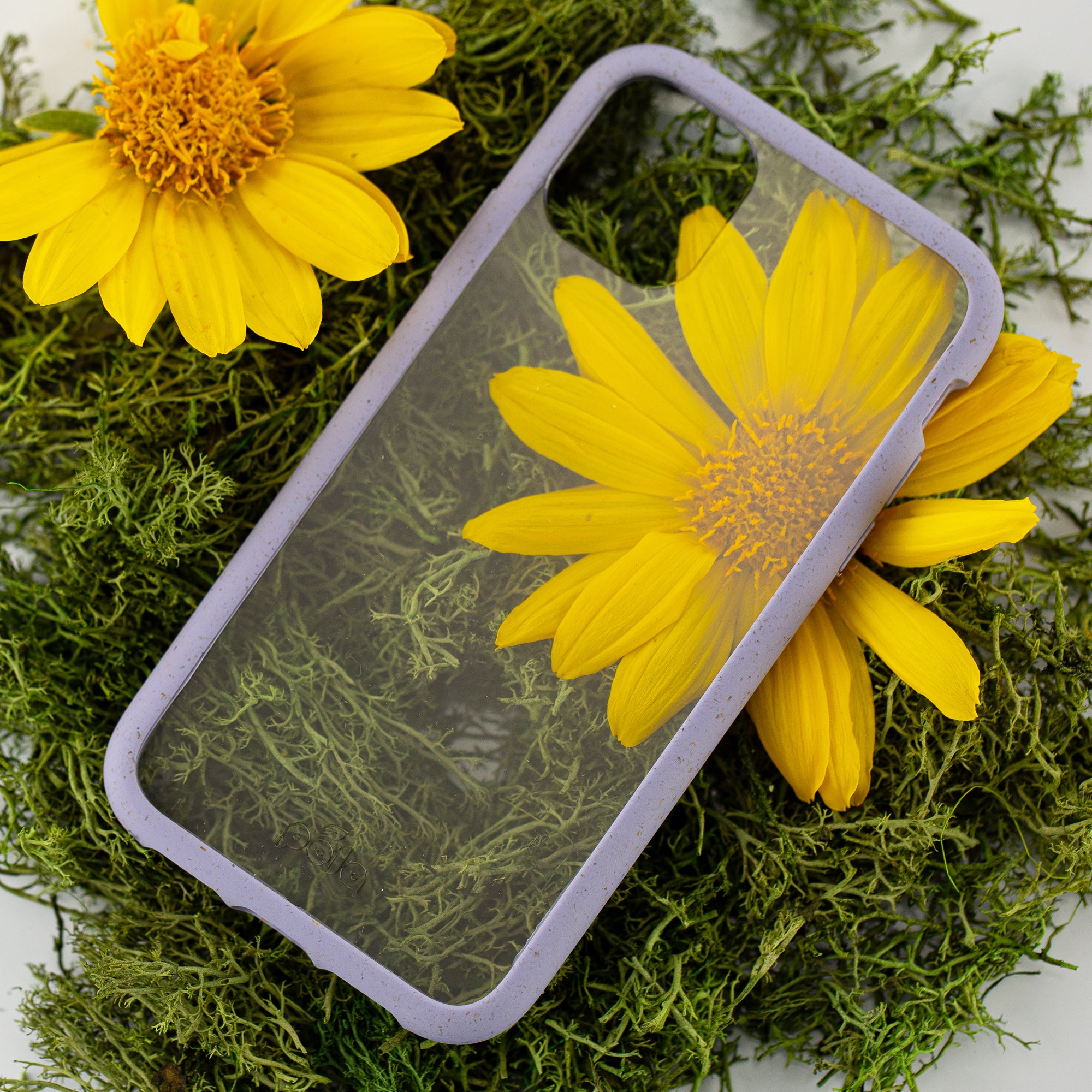 IP_11PROMAX_CLEAR_LAVENDER_BACK