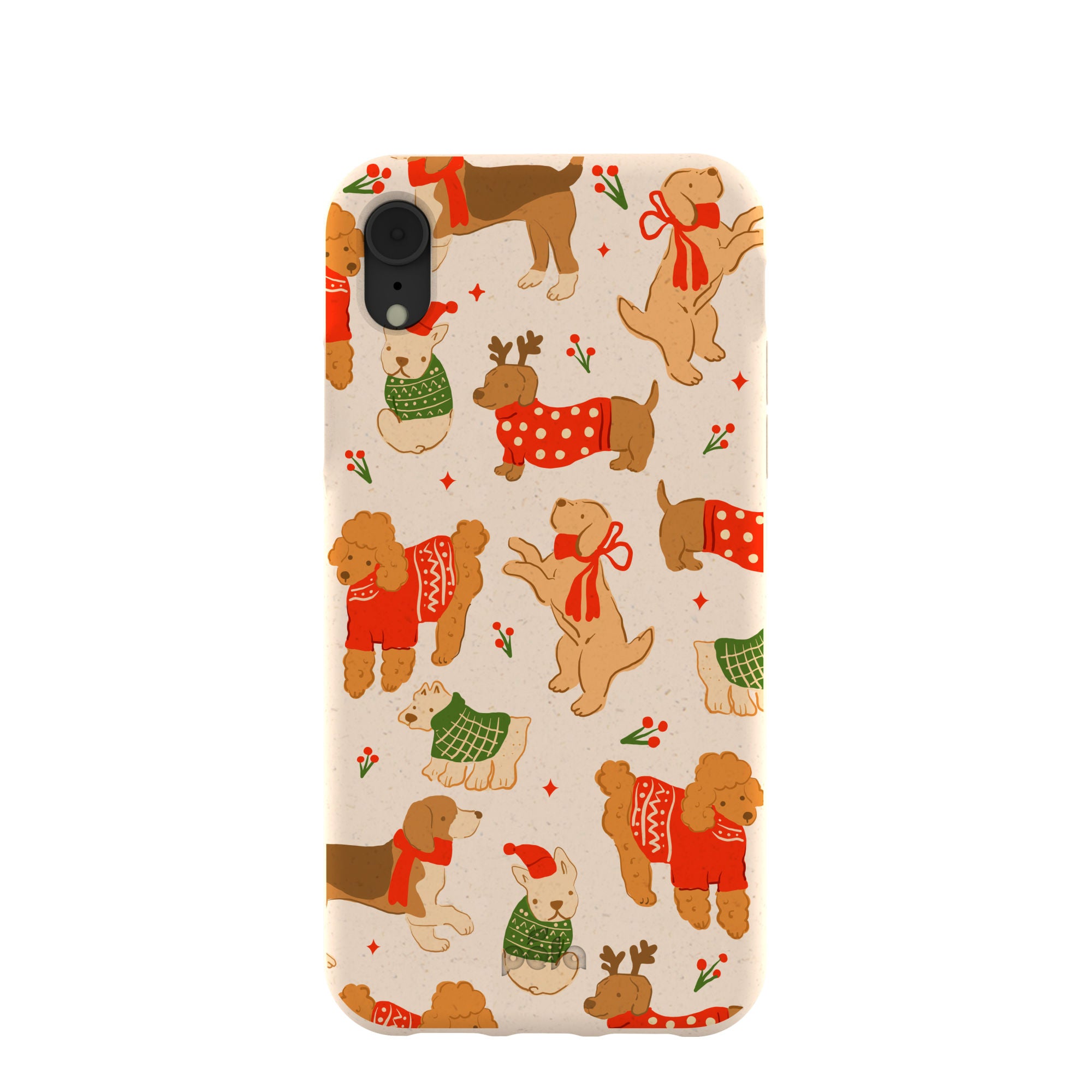 JOLLY-DOGGOS_IPXR_Seashell