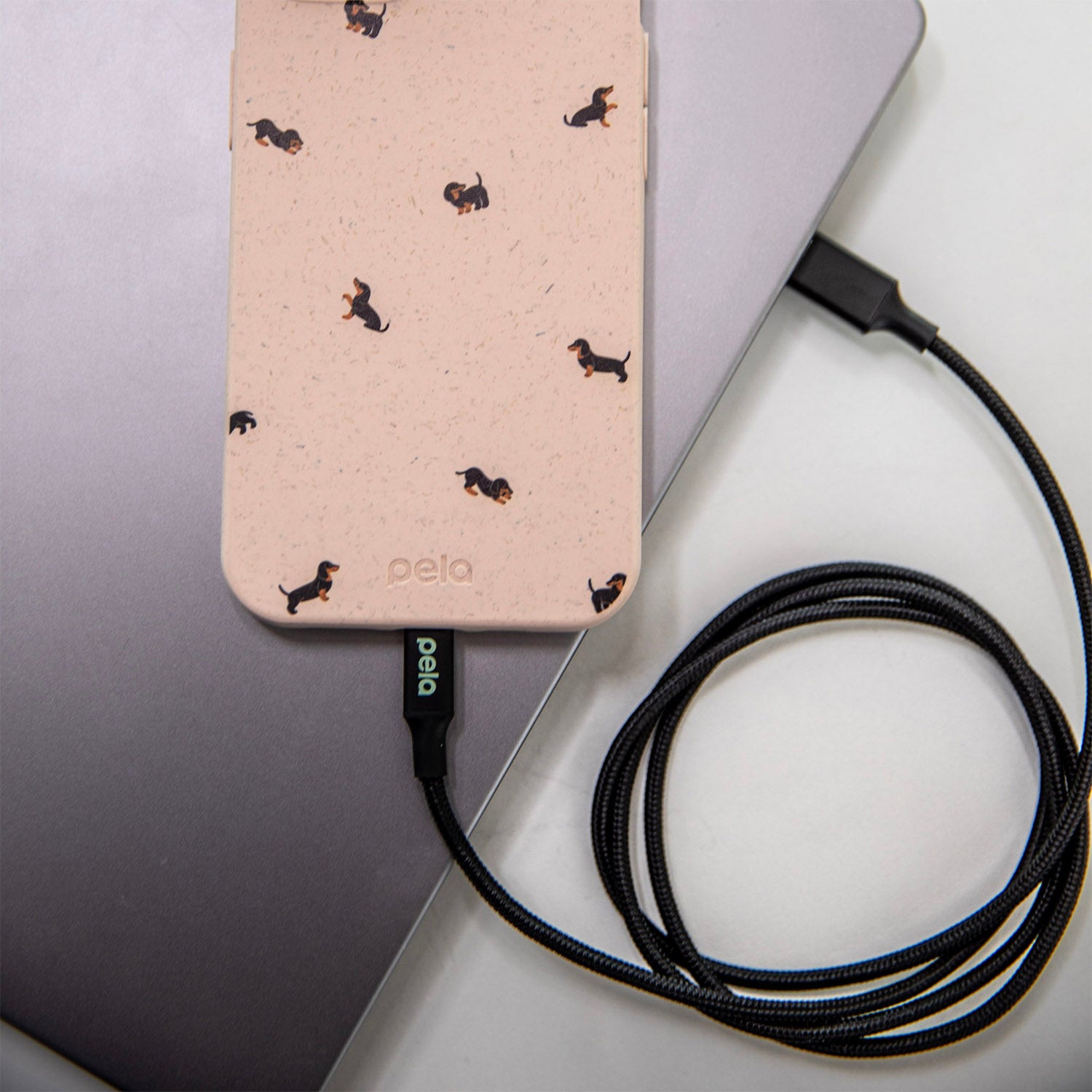 image_b9a66d42-a121-44d0-965d-682184bfa0e1