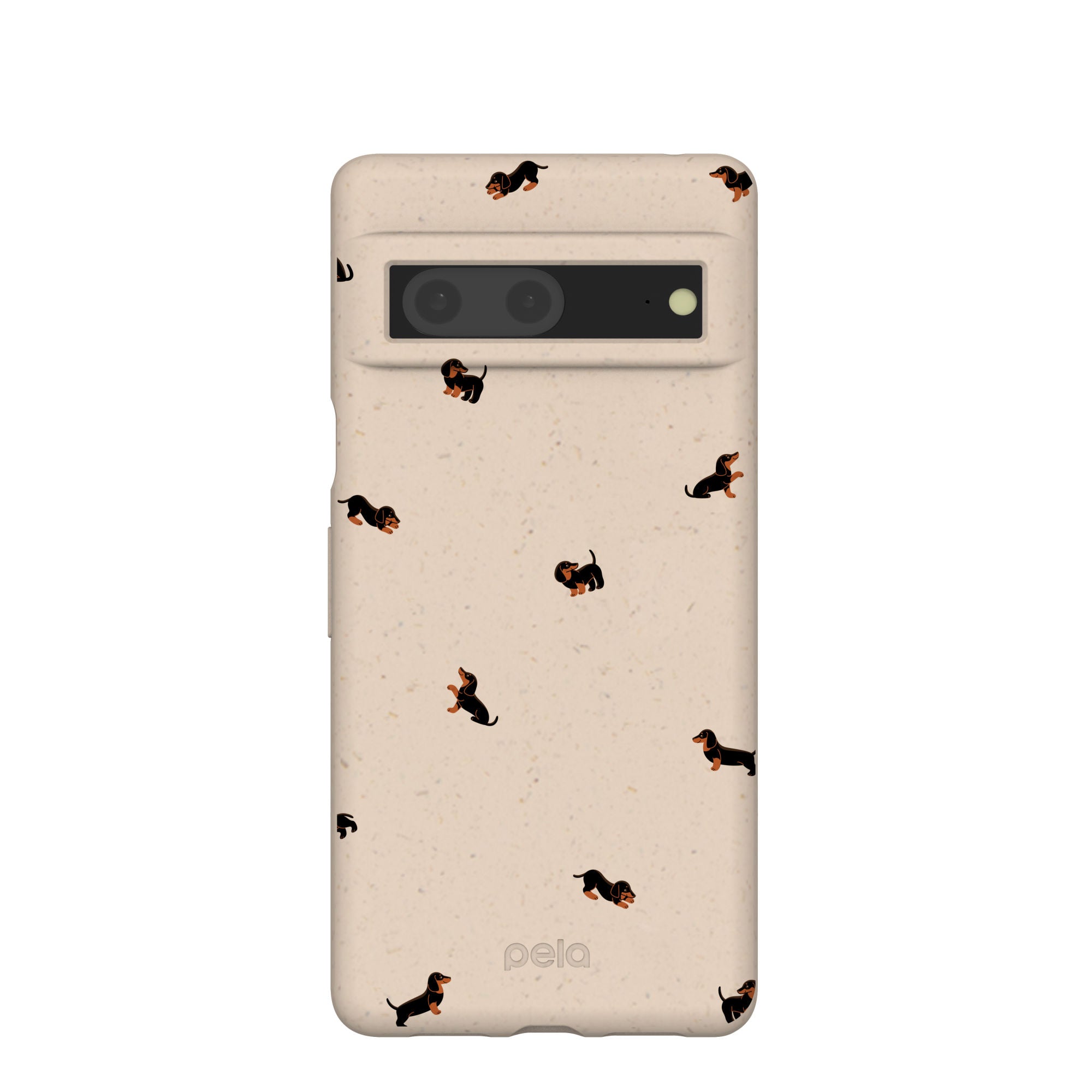 LIL-DACHSHUNDS_PX7_Seashell