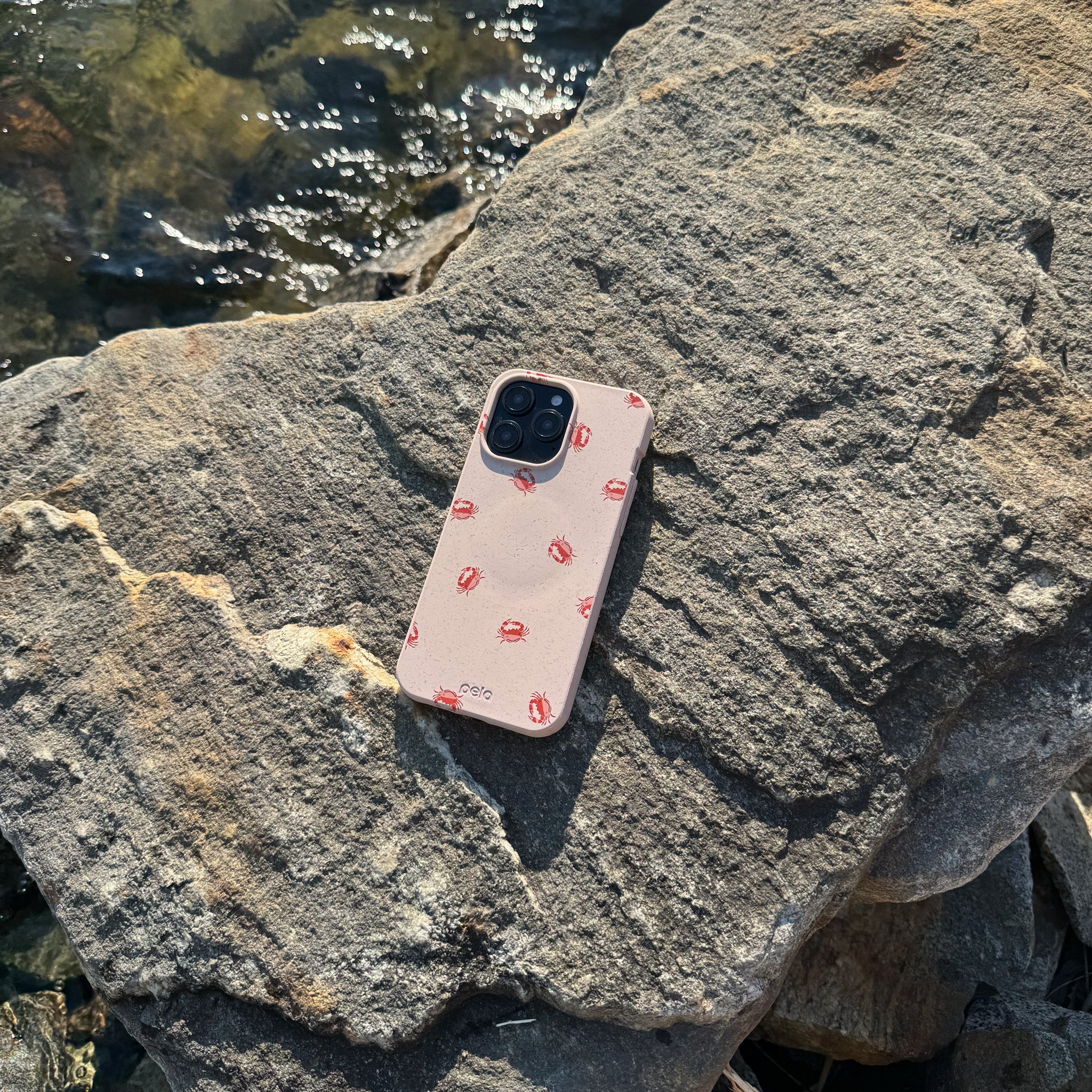 LIL-CRABBY_PX6A_Seashell