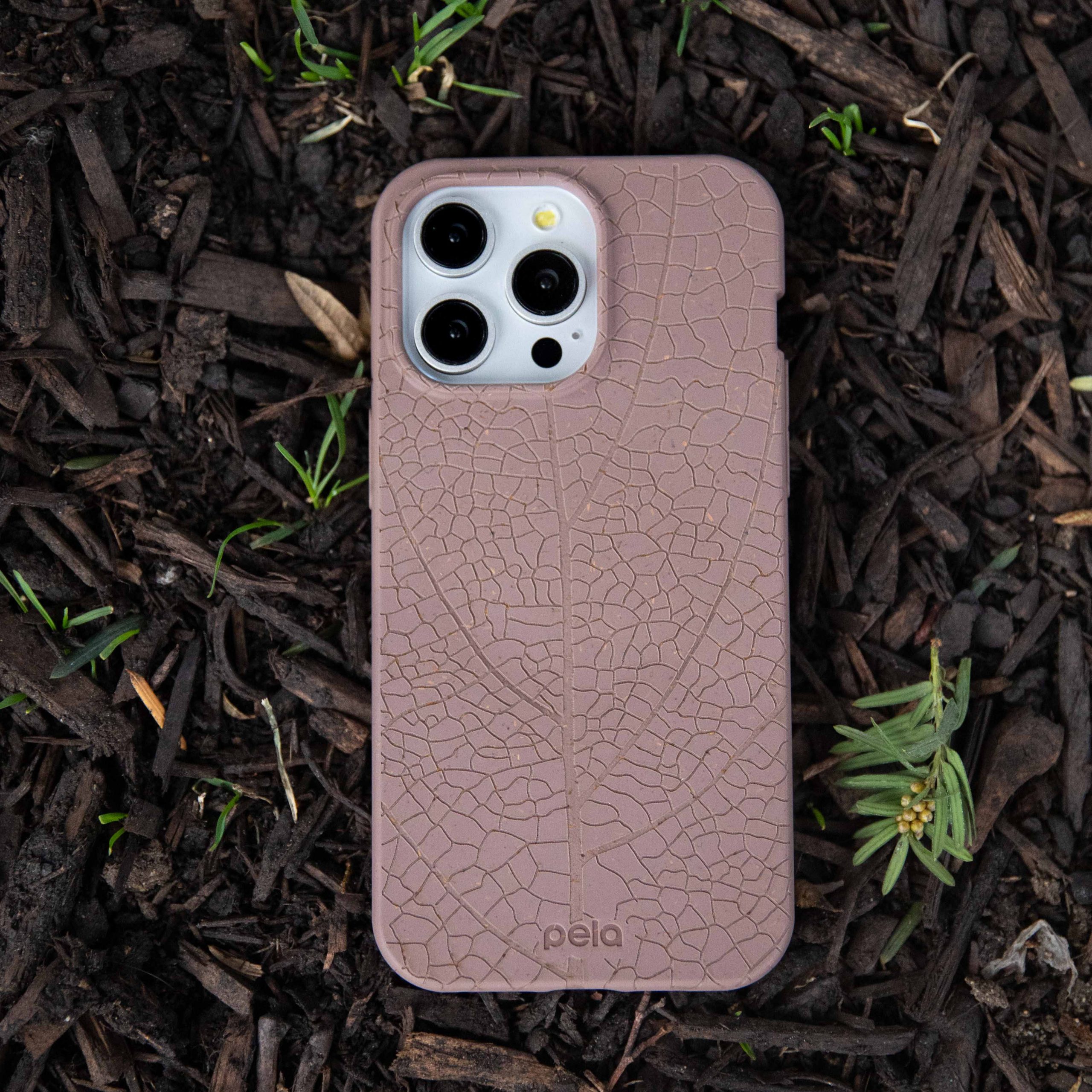 LEAF-VEINS_PX6A_ChocolateBrown