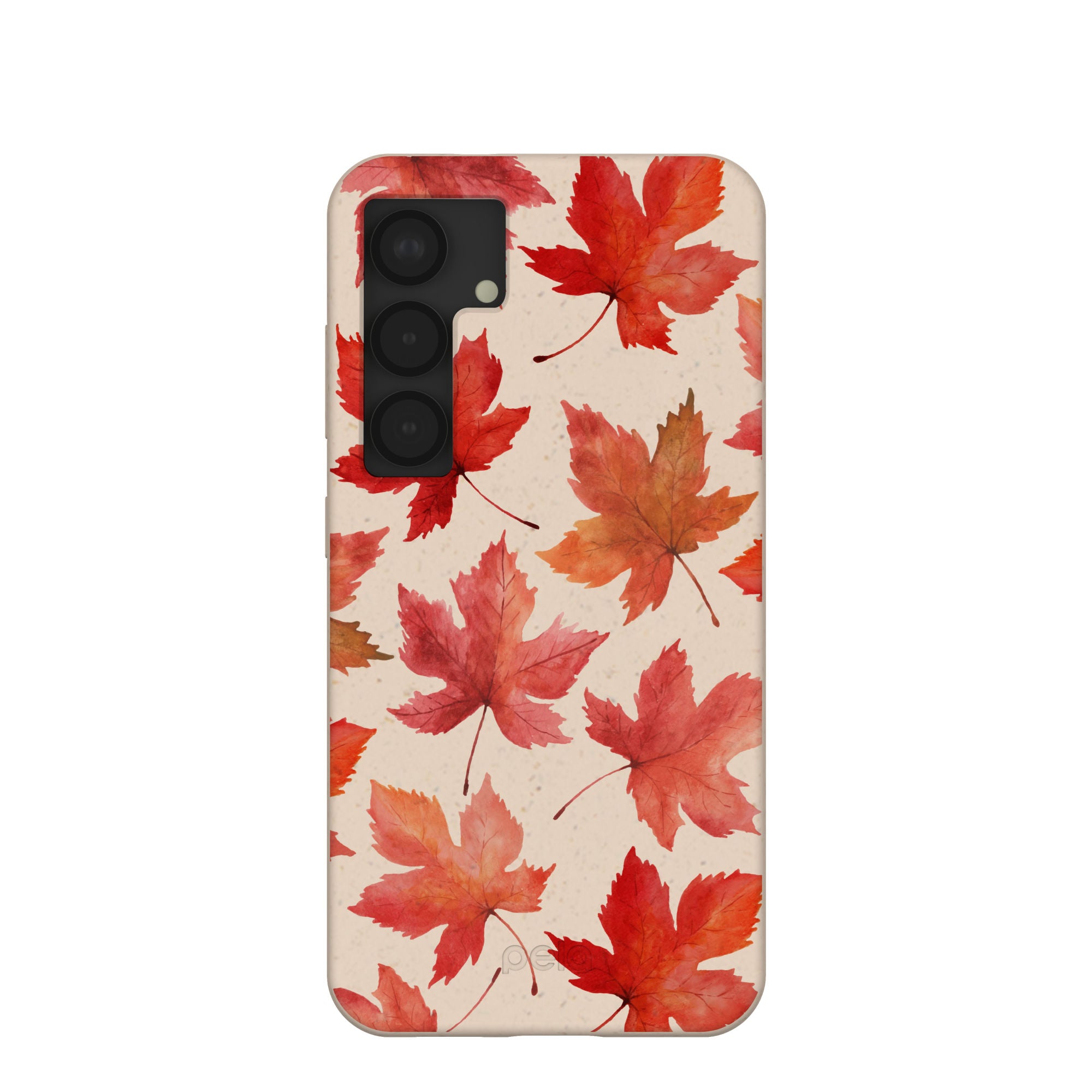 MAPLE-LEAF_S25_Seashell