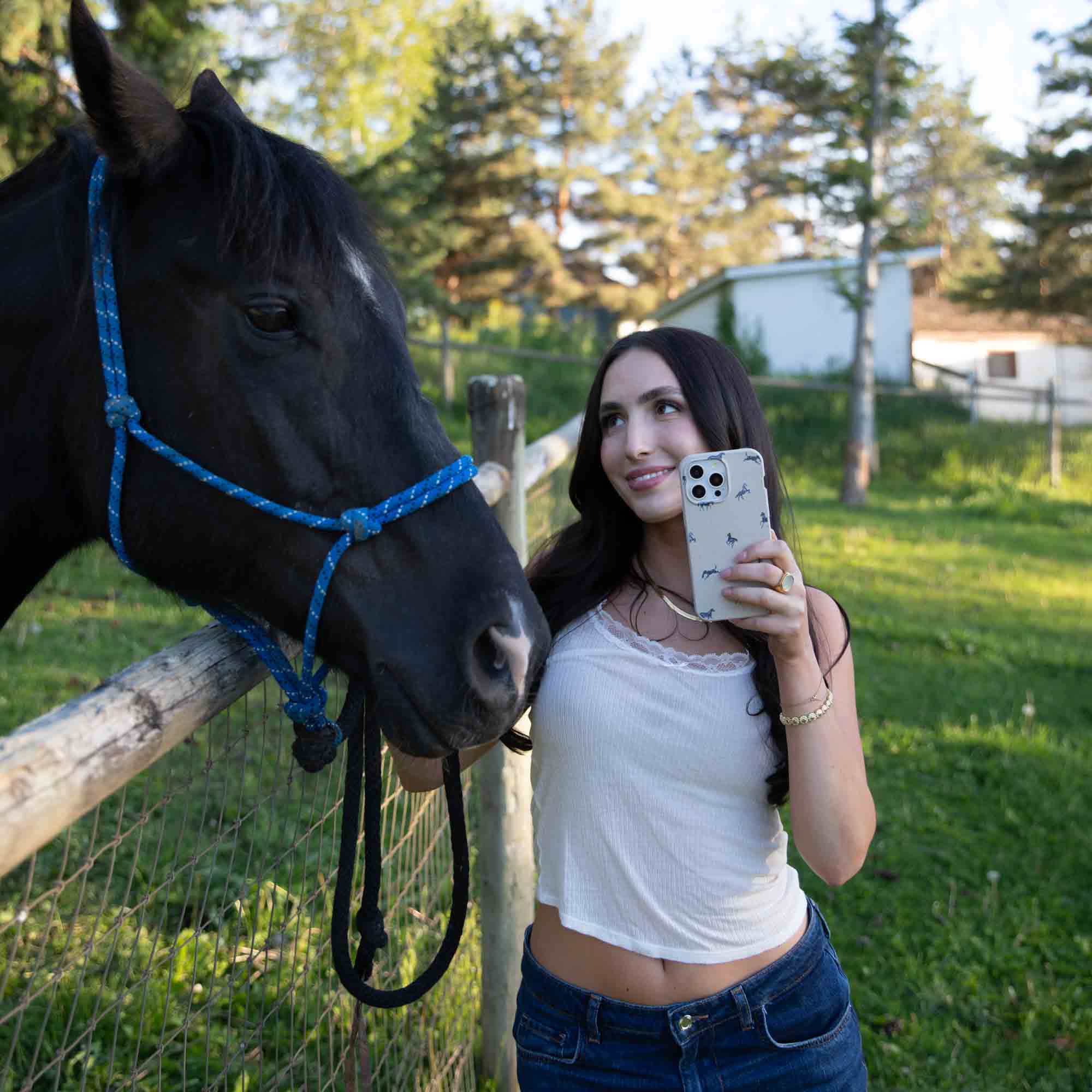 MINI-HORSES_PX8A_LondonFog