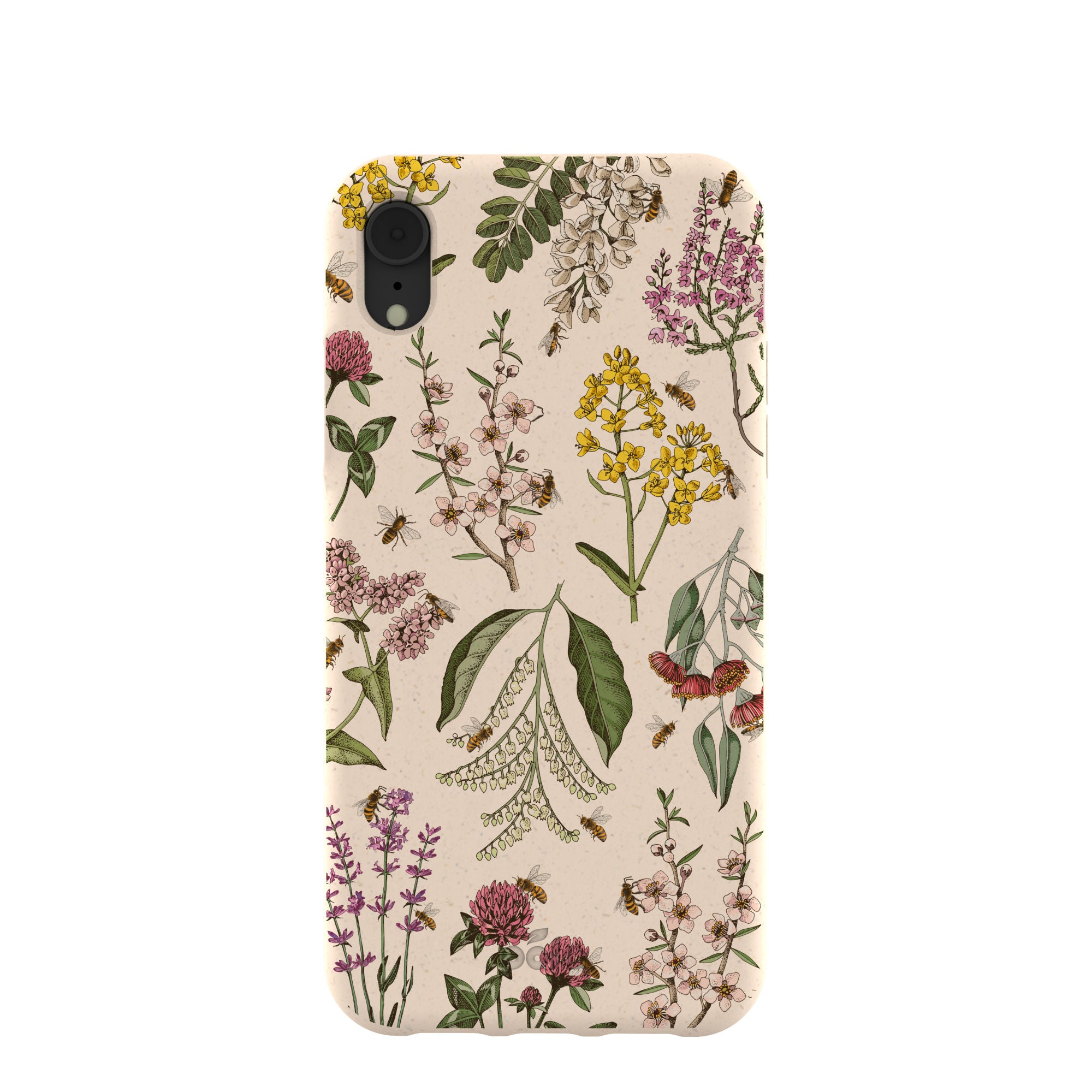 NECTAR-AND-POLLEN_IPXR_Seashell