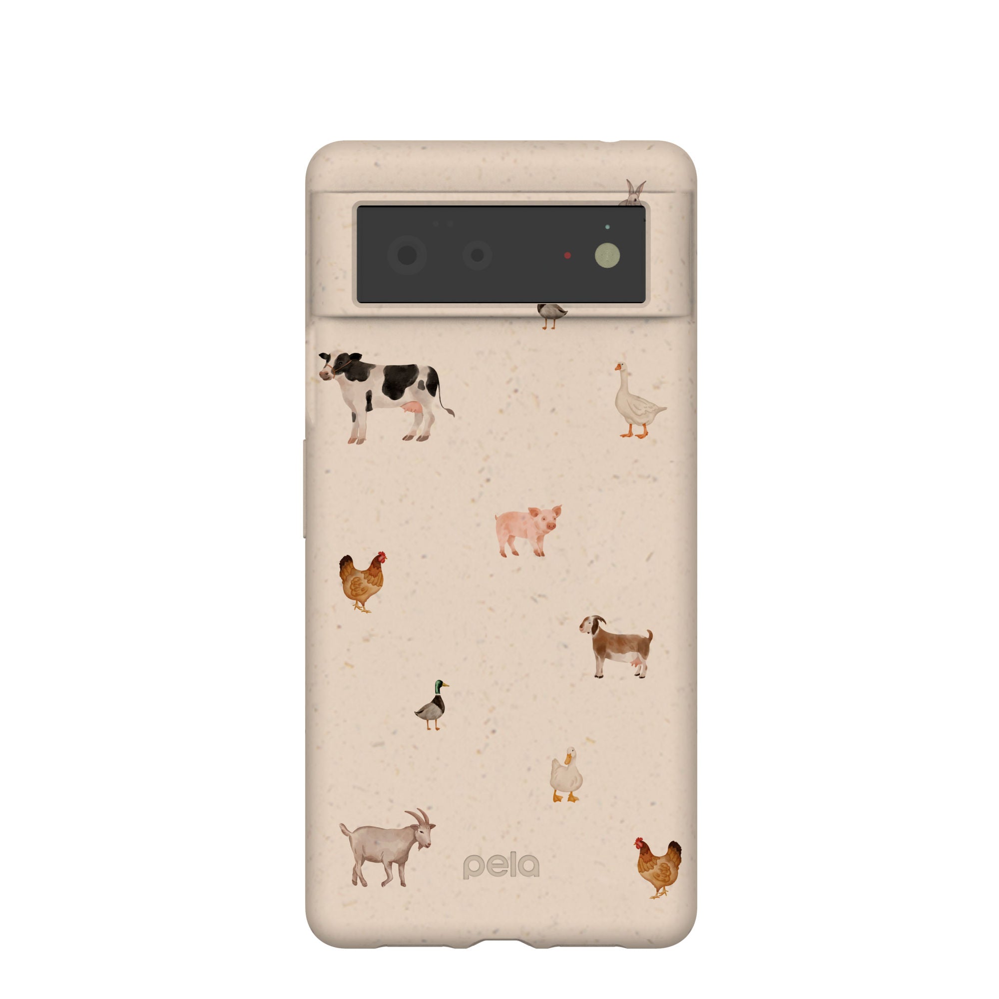 PASTURE-PARTY_PX6_Seashell