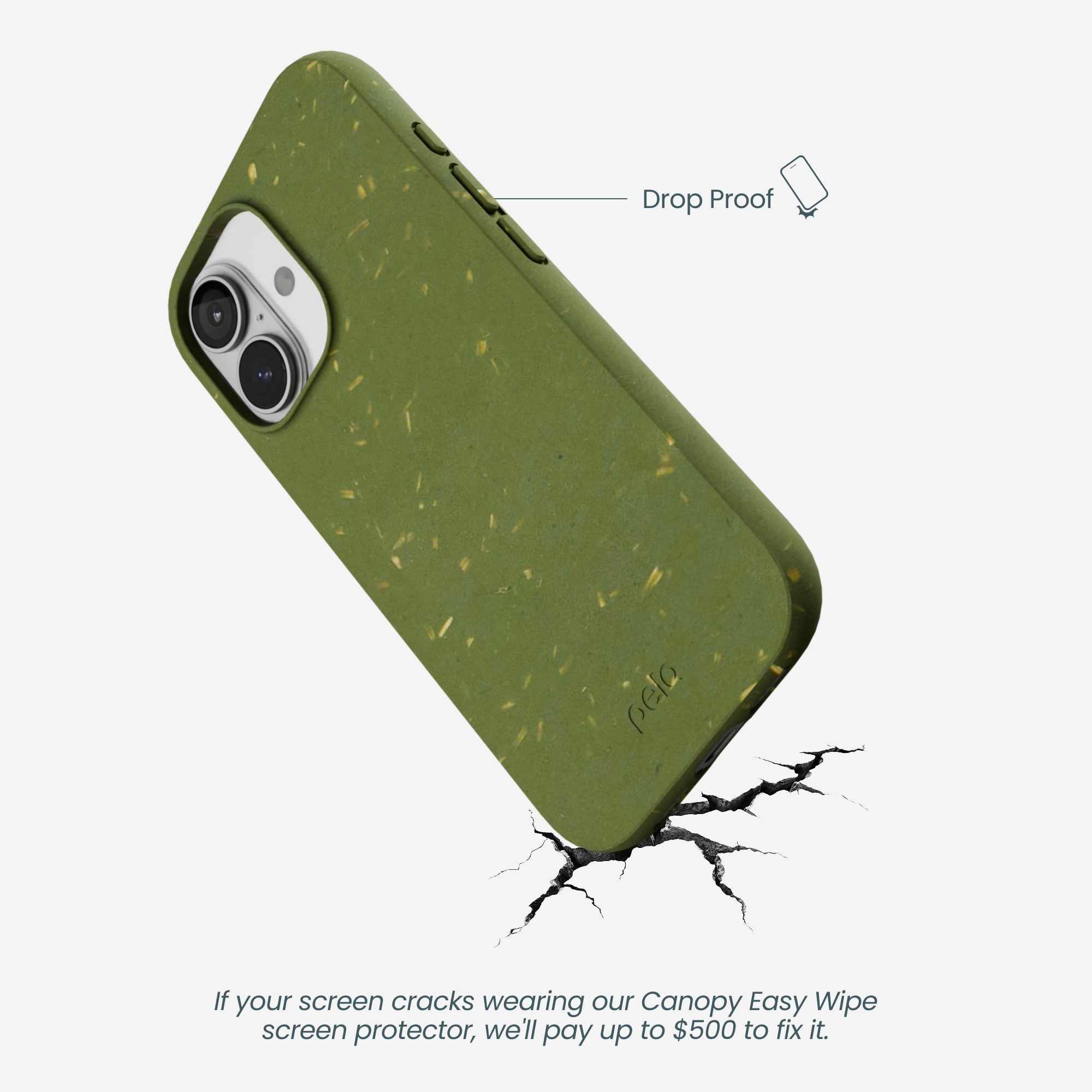 IP17_FORESTFLOOR_BACK