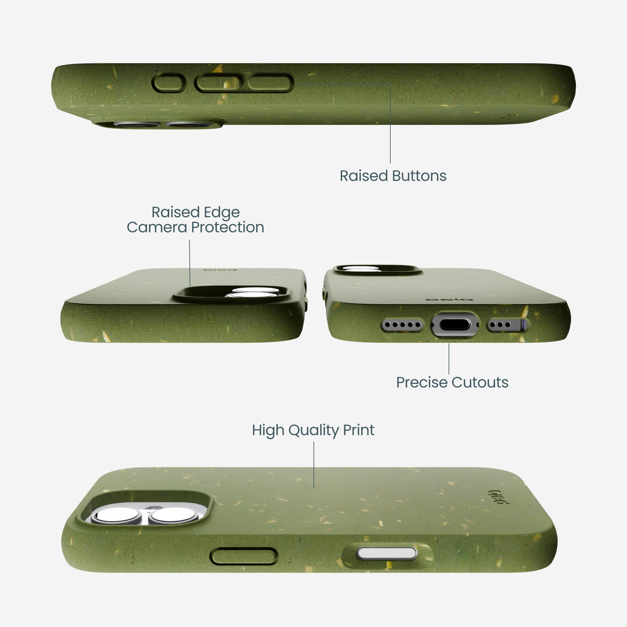 IP17_FORESTFLOOR_BACK