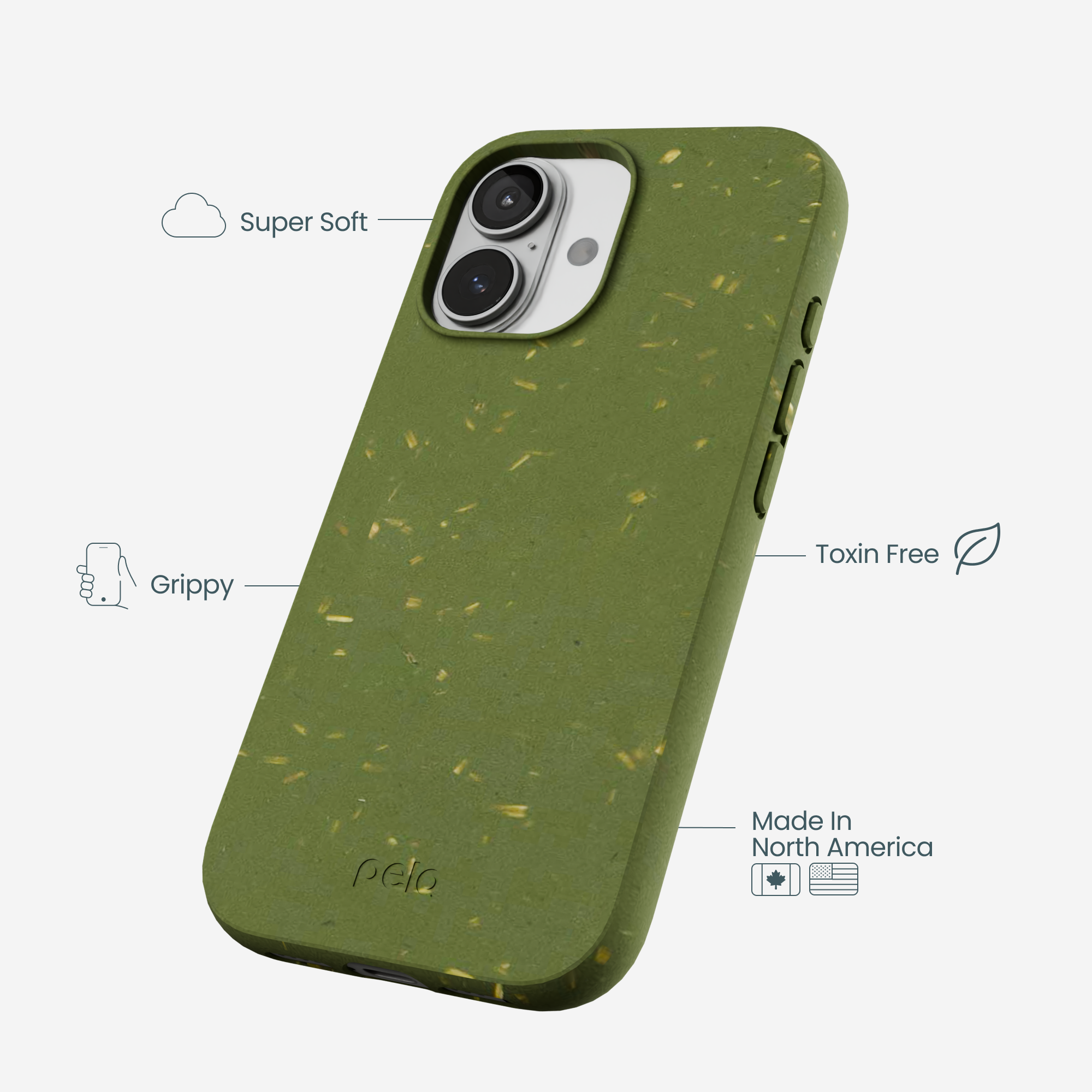 IP17_FORESTFLOOR_BACK