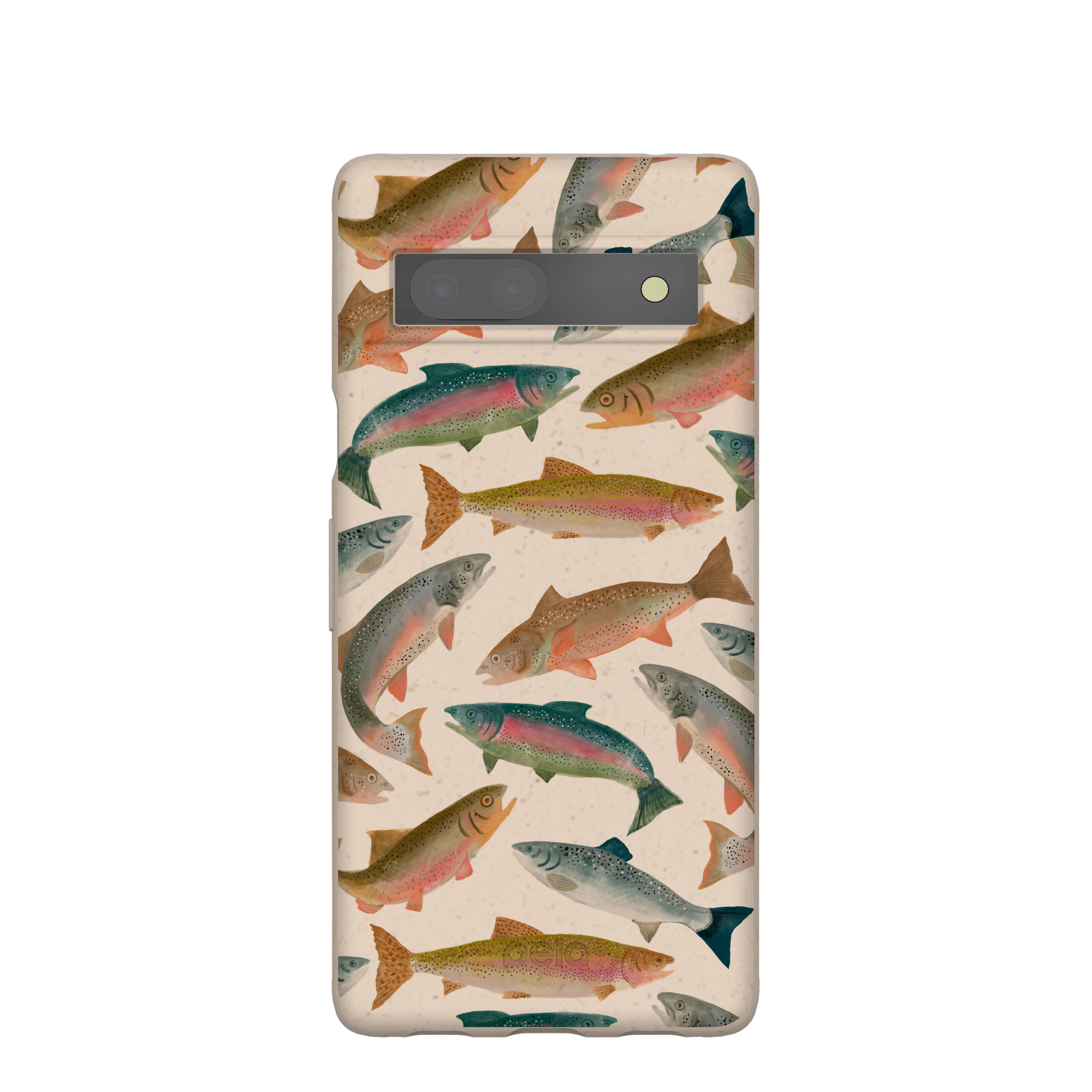 RAINBOW-TROUT_PX7A_Seashell