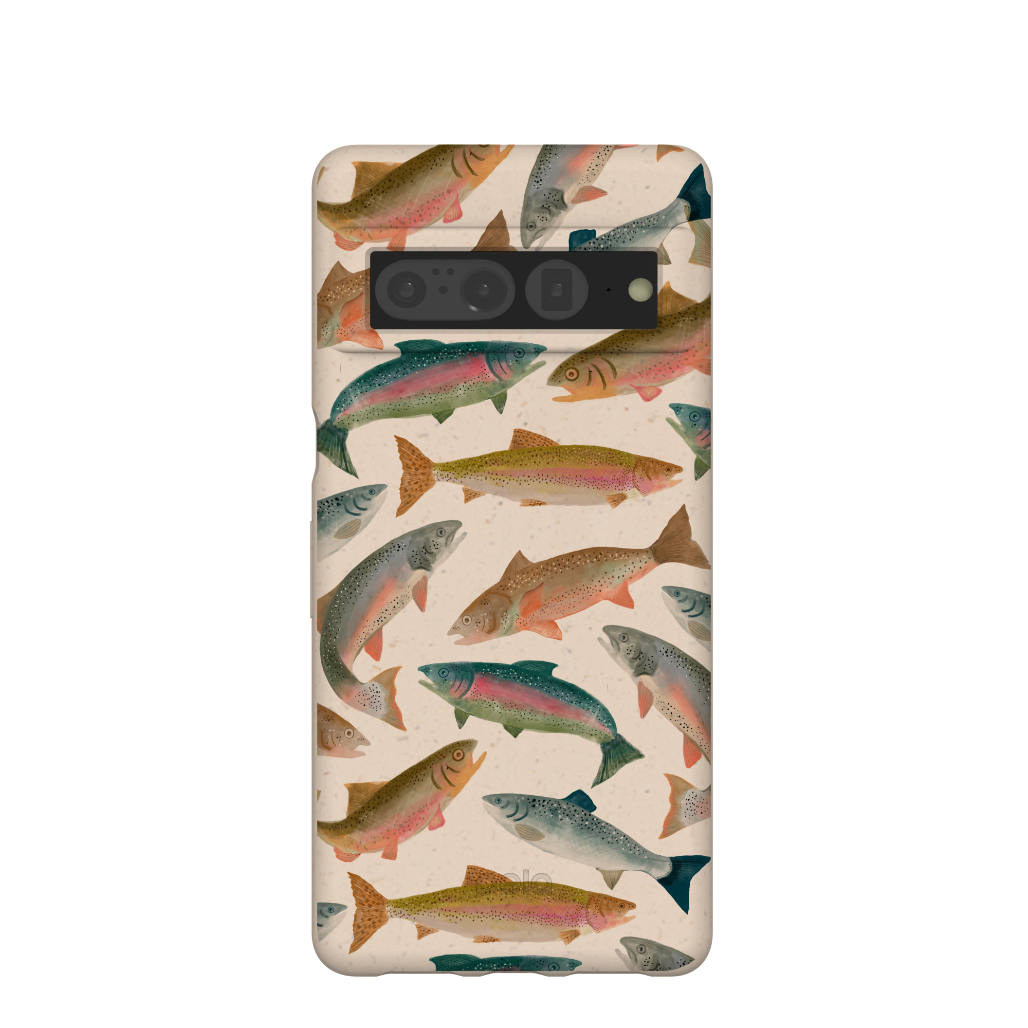 RAINBOW-TROUT_PX7P_Seashell