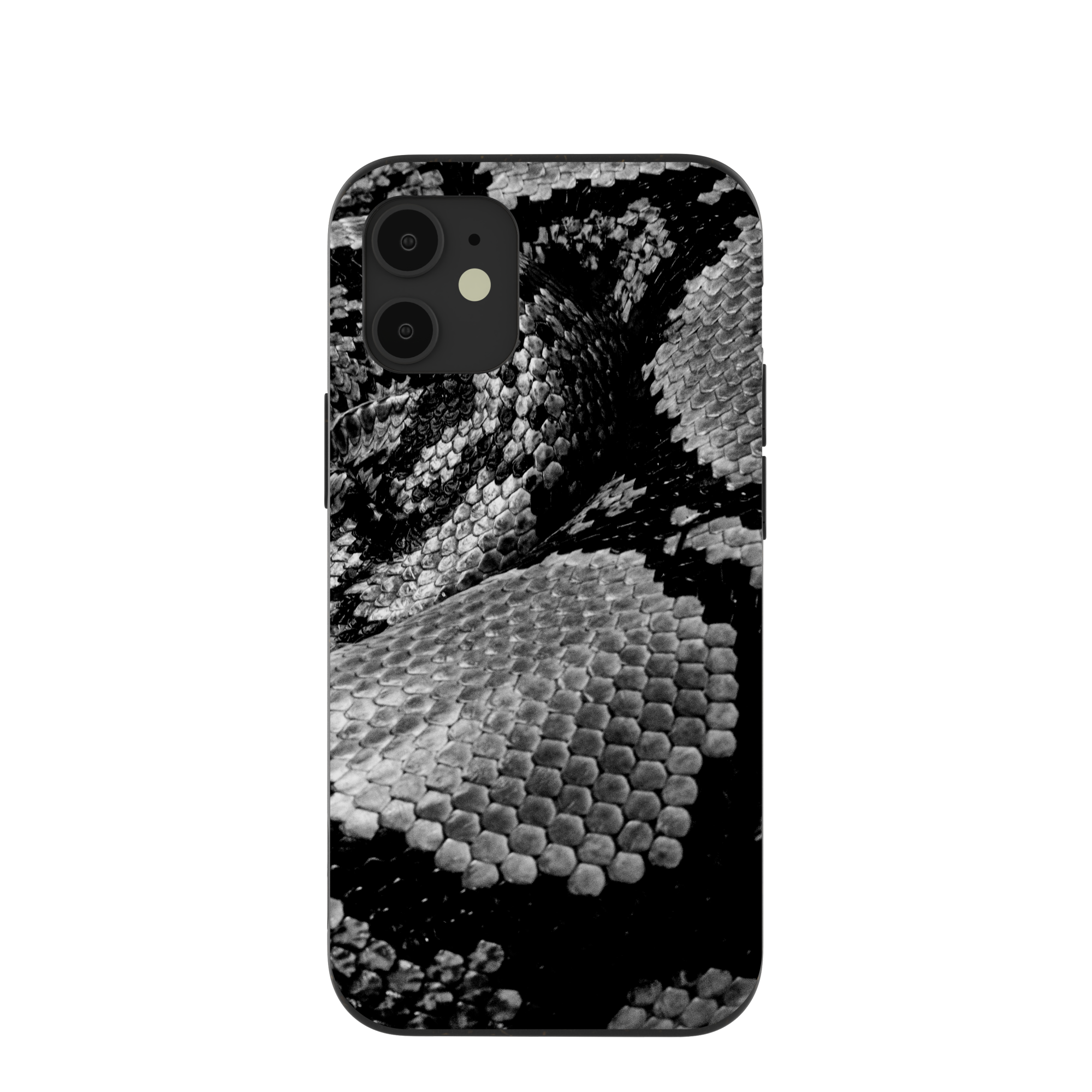 SNAKE-SCALE_IP12MINI_Black