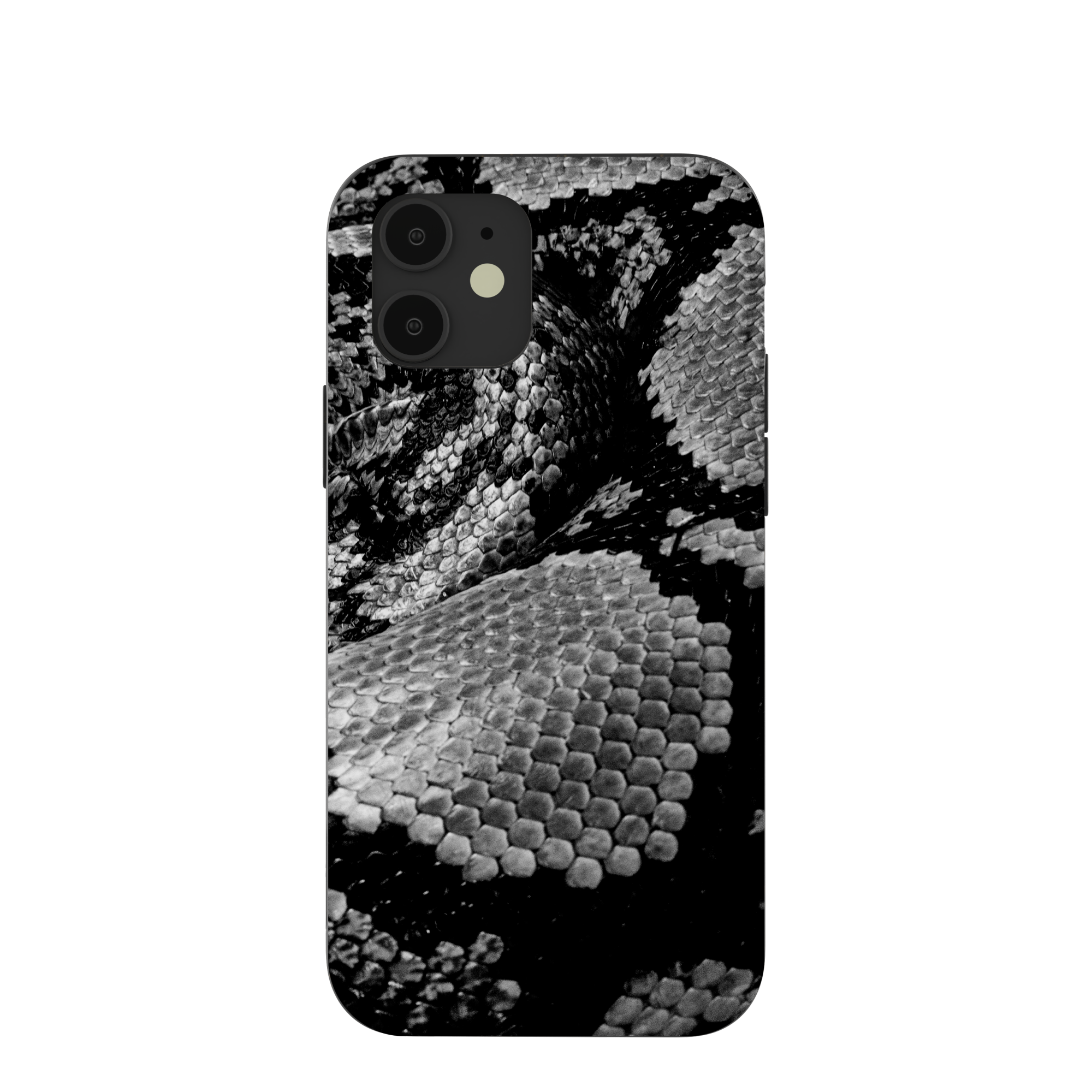 SNAKE-SCALE_IP12_Black