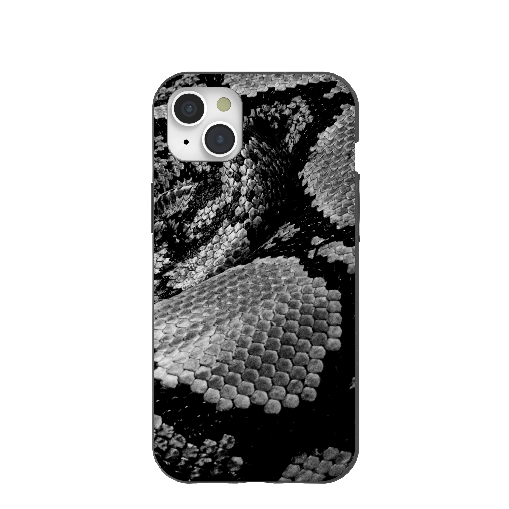 SNAKE-SCALE_IP15PLUS_Black