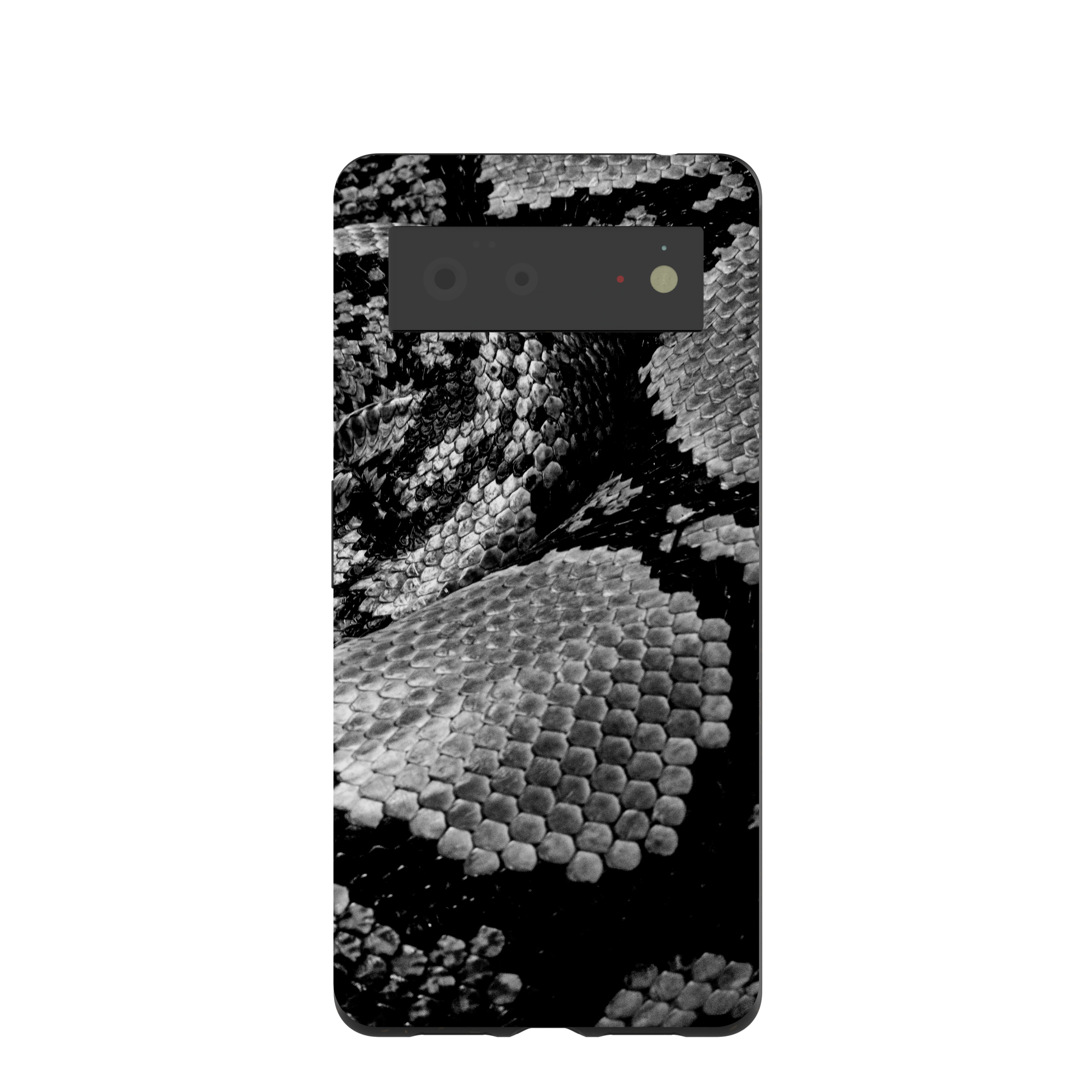 SNAKE-SCALE_PX6_Black
