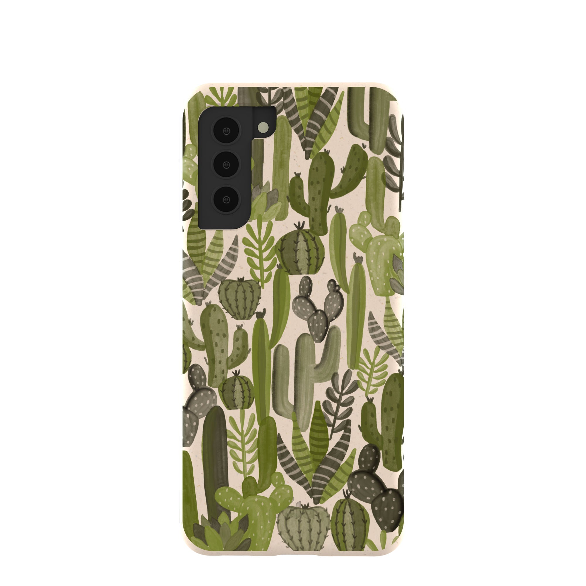 SUCCULENT-CACTI_S21_Seashell