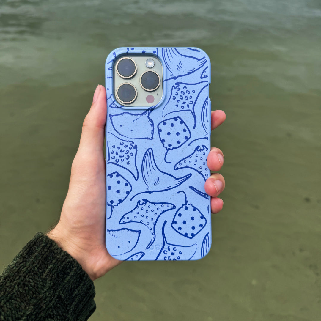 STINGRAY-FEVER_PX8A_PowderBlue