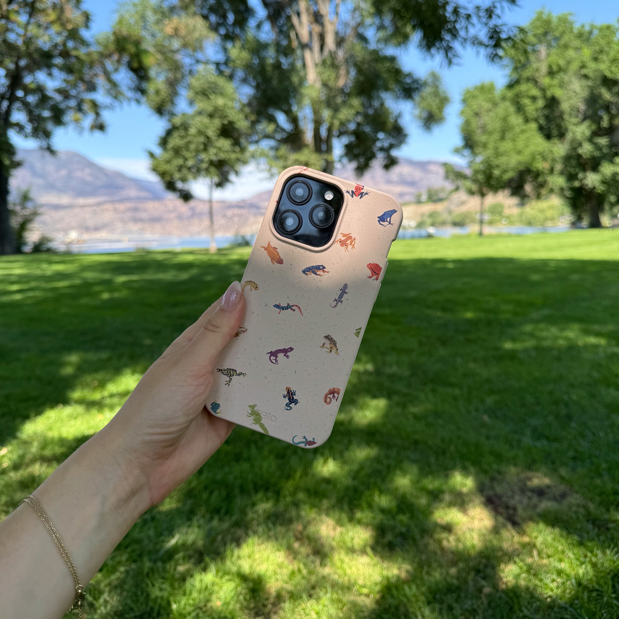 TINY-AMPHIBIANS_IPXR_Seashell