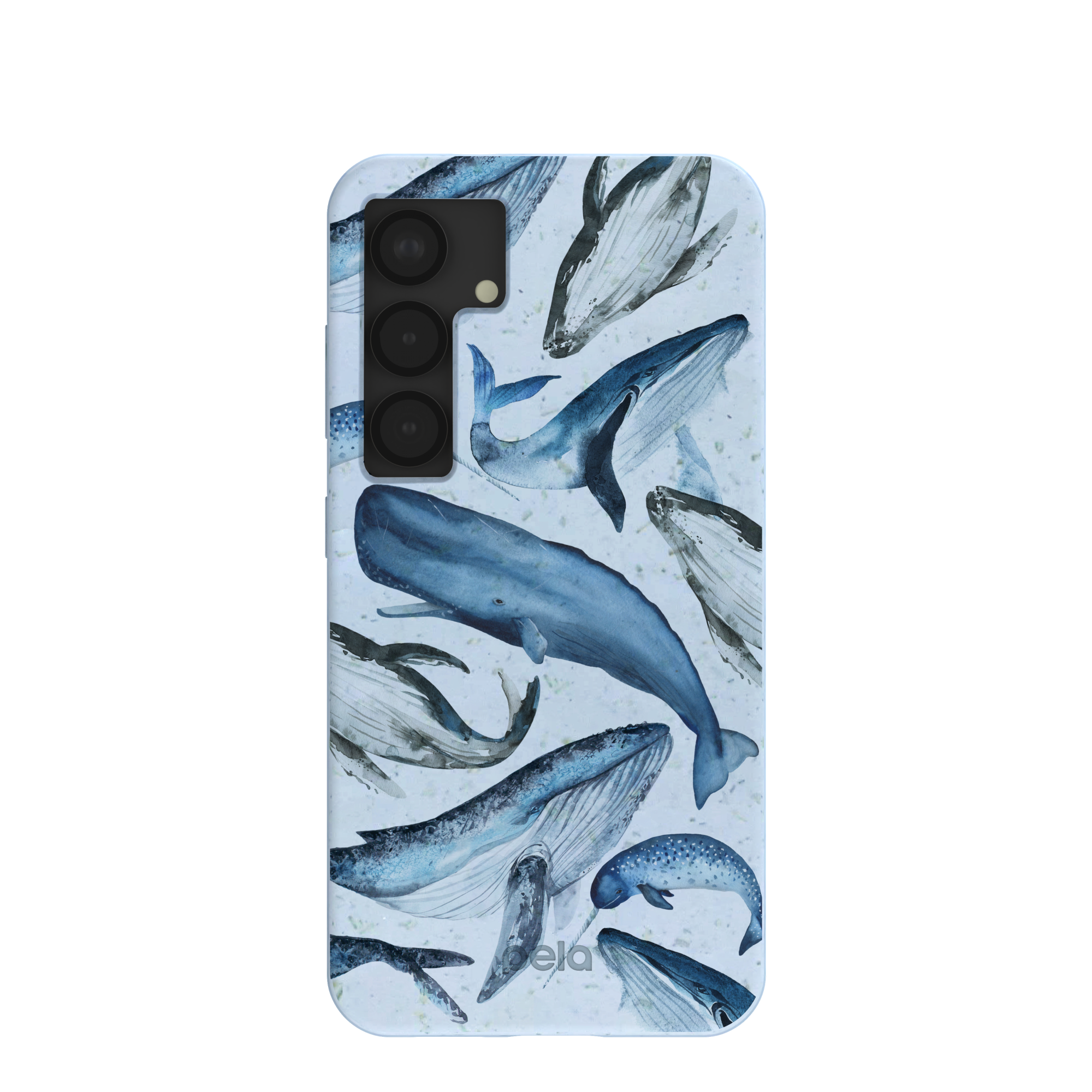 WHALES_S25_PowderBlue