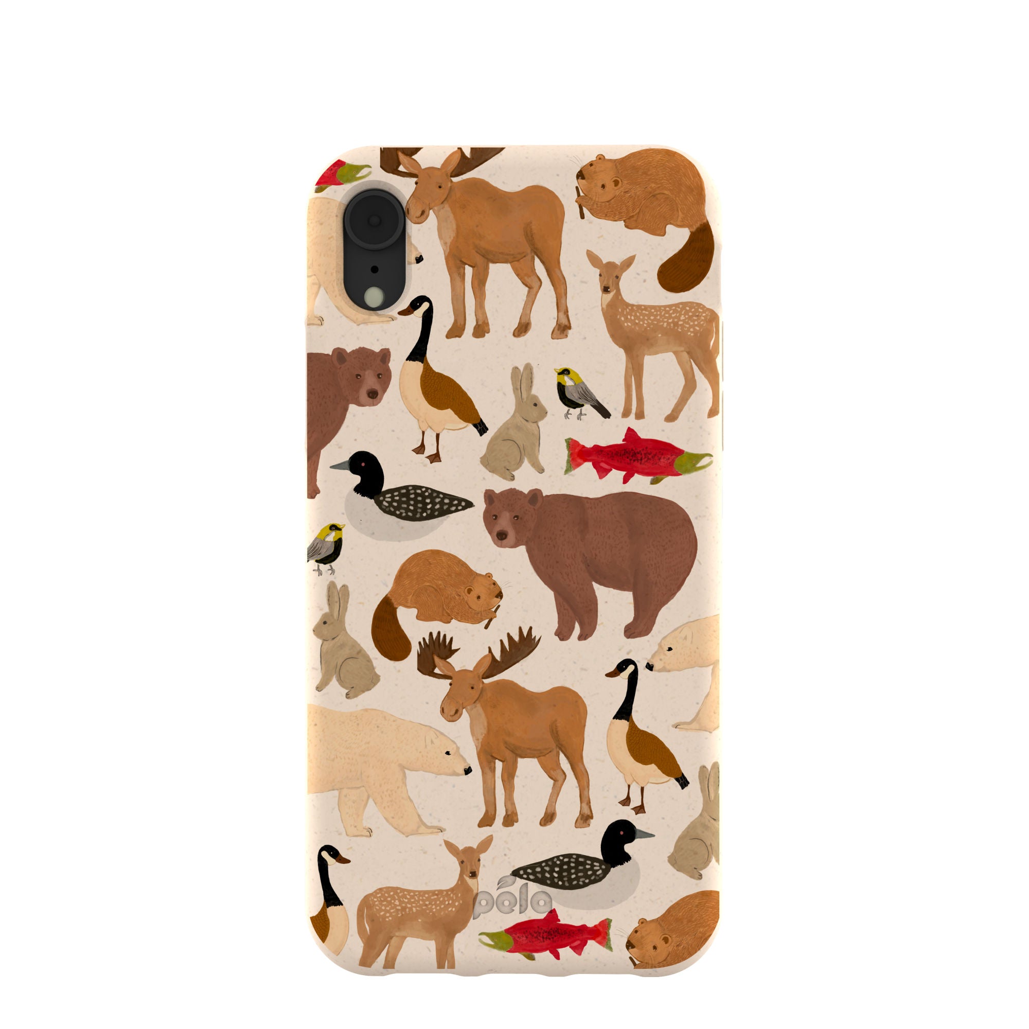 WILD-CANADA_IPXR_Seashell