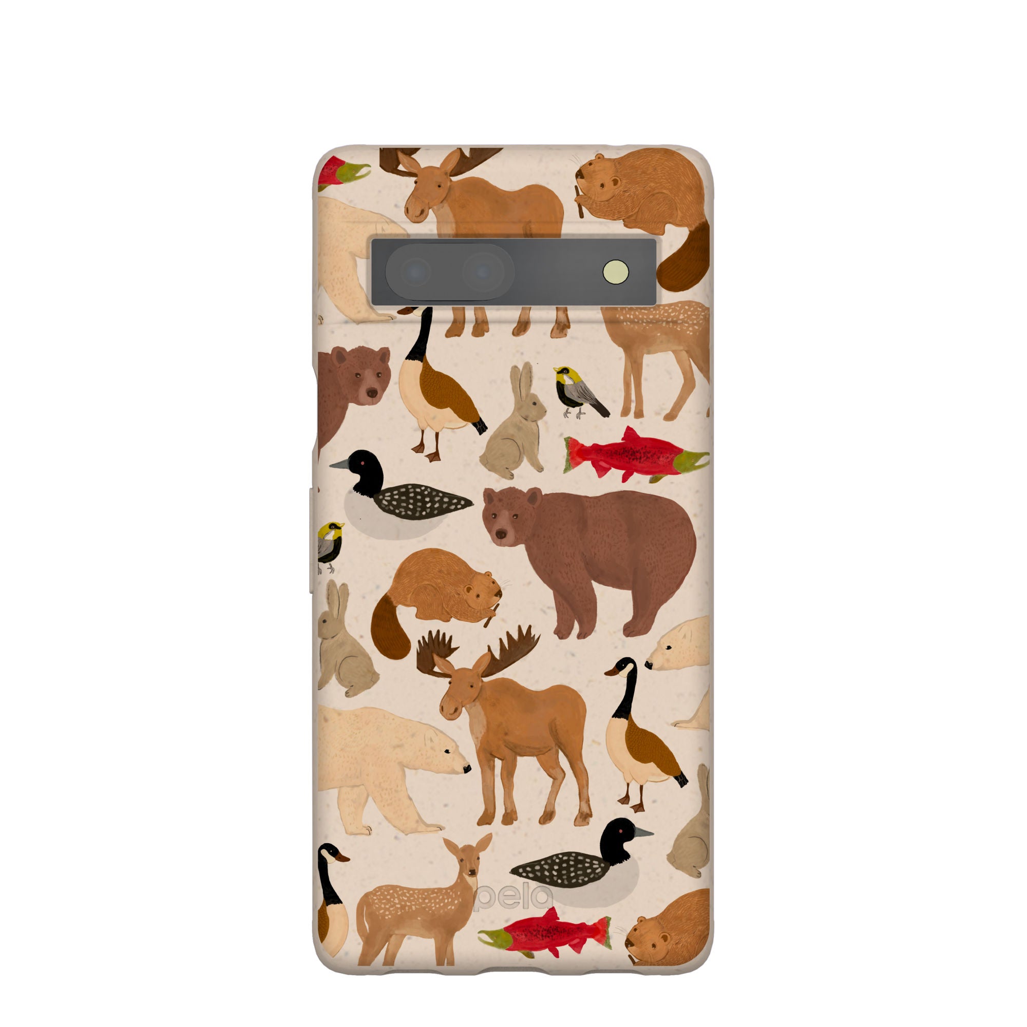 WILD-CANADA_PX7A_Seashell