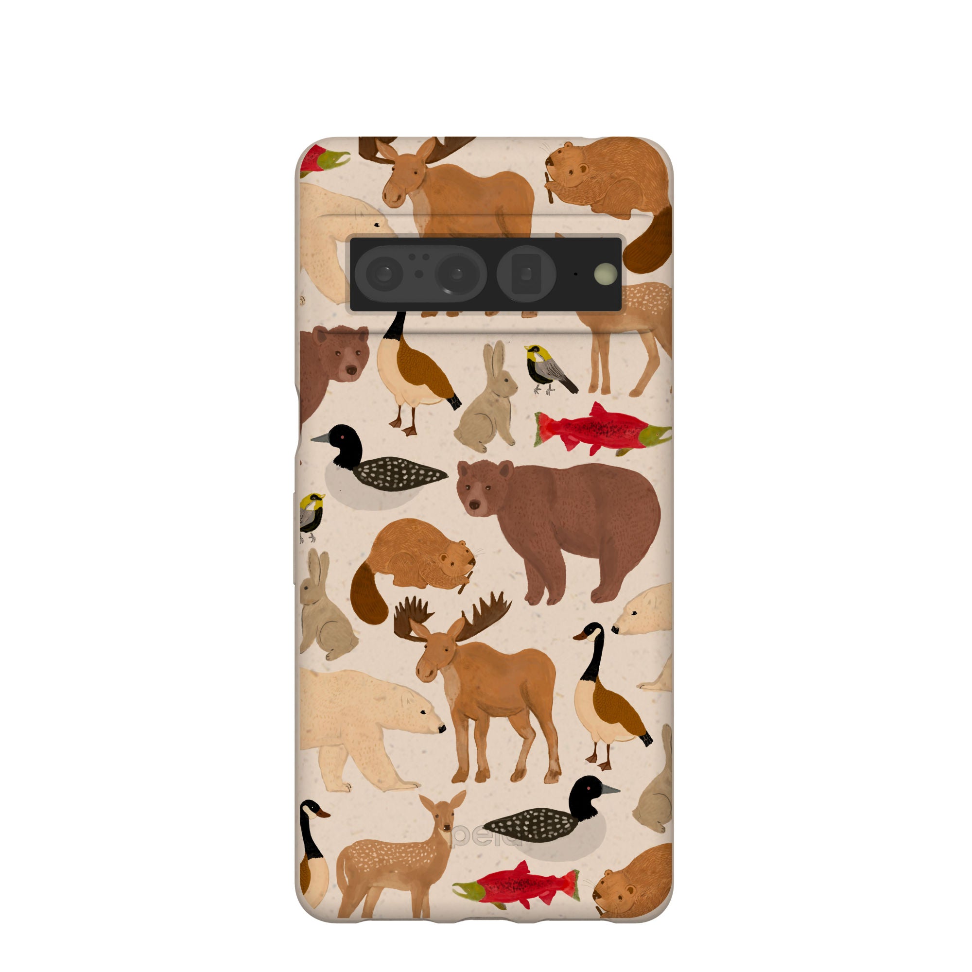 WILD-CANADA_PX7P_Seashell