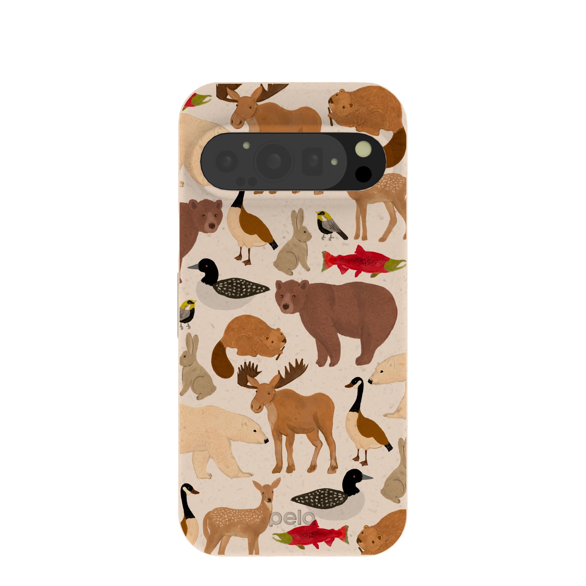 WILD-CANADA_PX9_Seashell